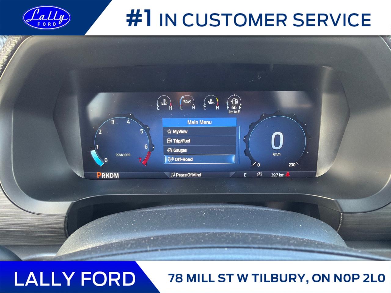 2025 Ford F-150 XLT Photo