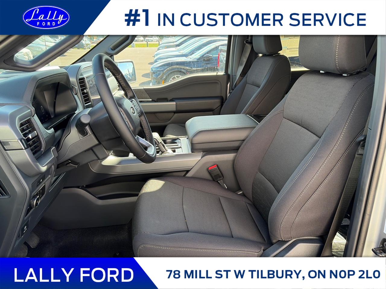 2025 Ford F-150 XLT Photo