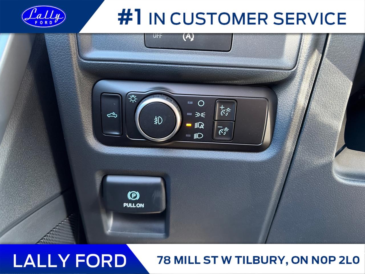 2025 Ford F-150 XLT Photo