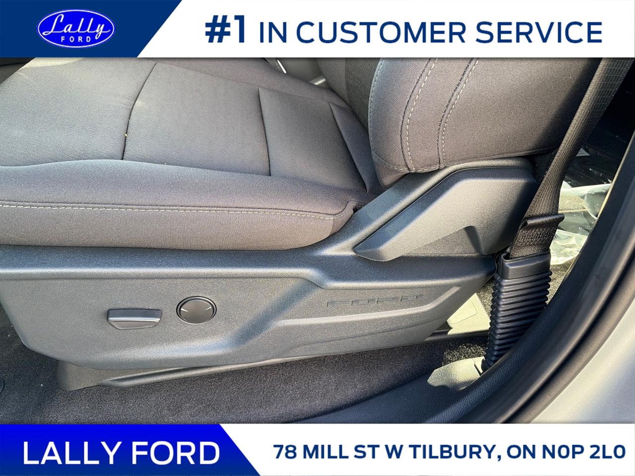 2025 Ford F-150 XLT Photo