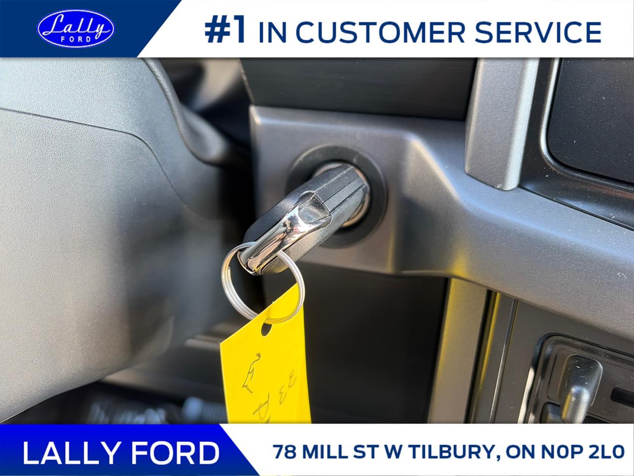 2025 Ford F-150 XLT Photo