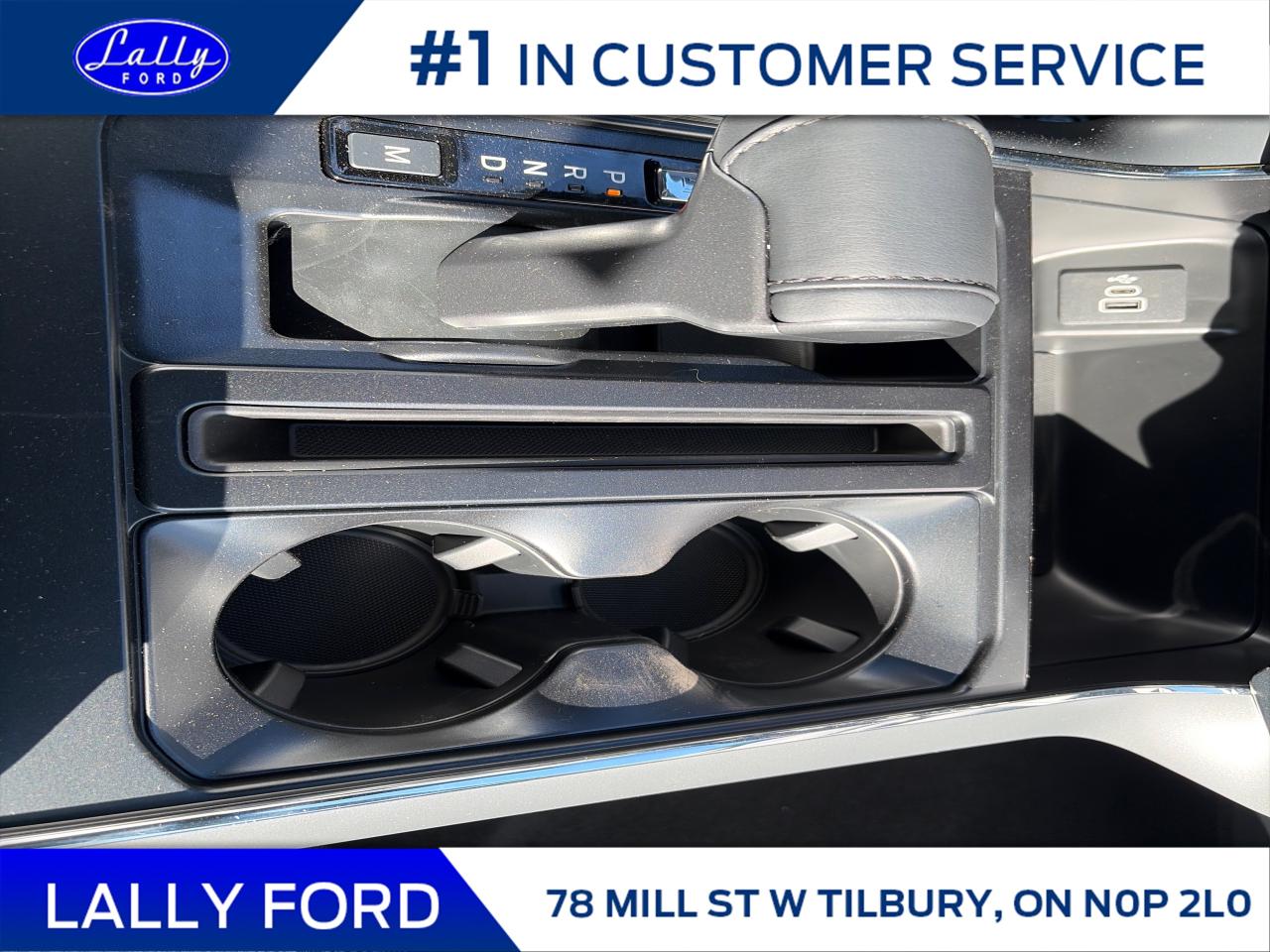 2025 Ford F-150 XLT Photo