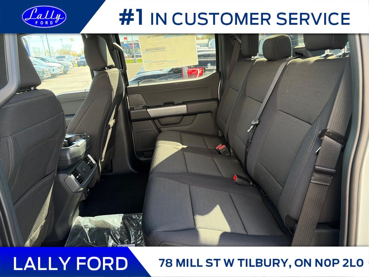 2025 Ford F-150 XLT Photo