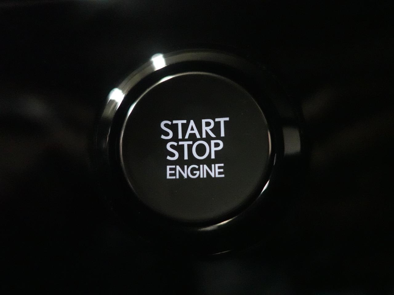 2022 Lexus NX 350 F-SPORT | AWD | Nav | Red Leather | CarPlay