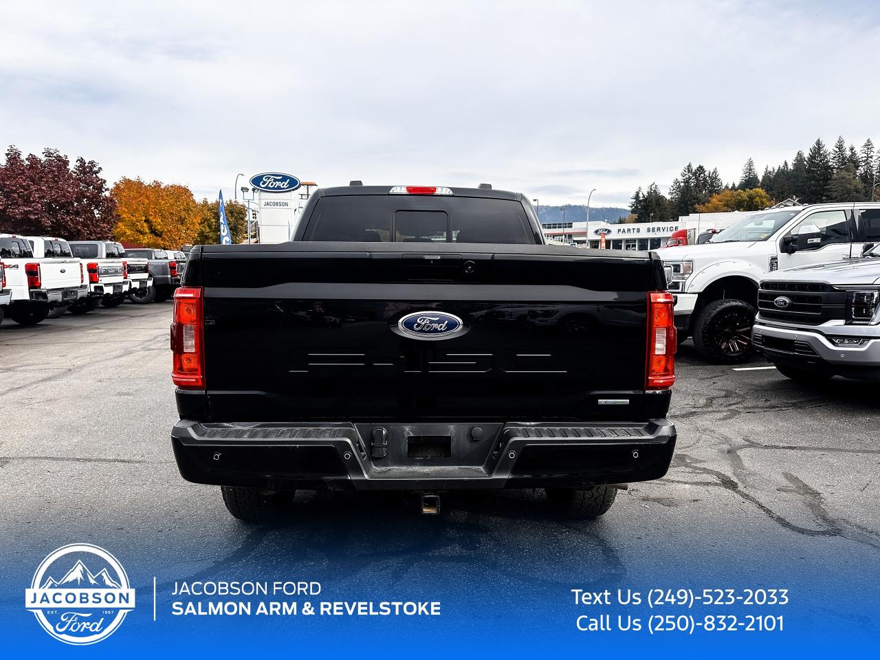 2022 Ford F-150 XLT Photo