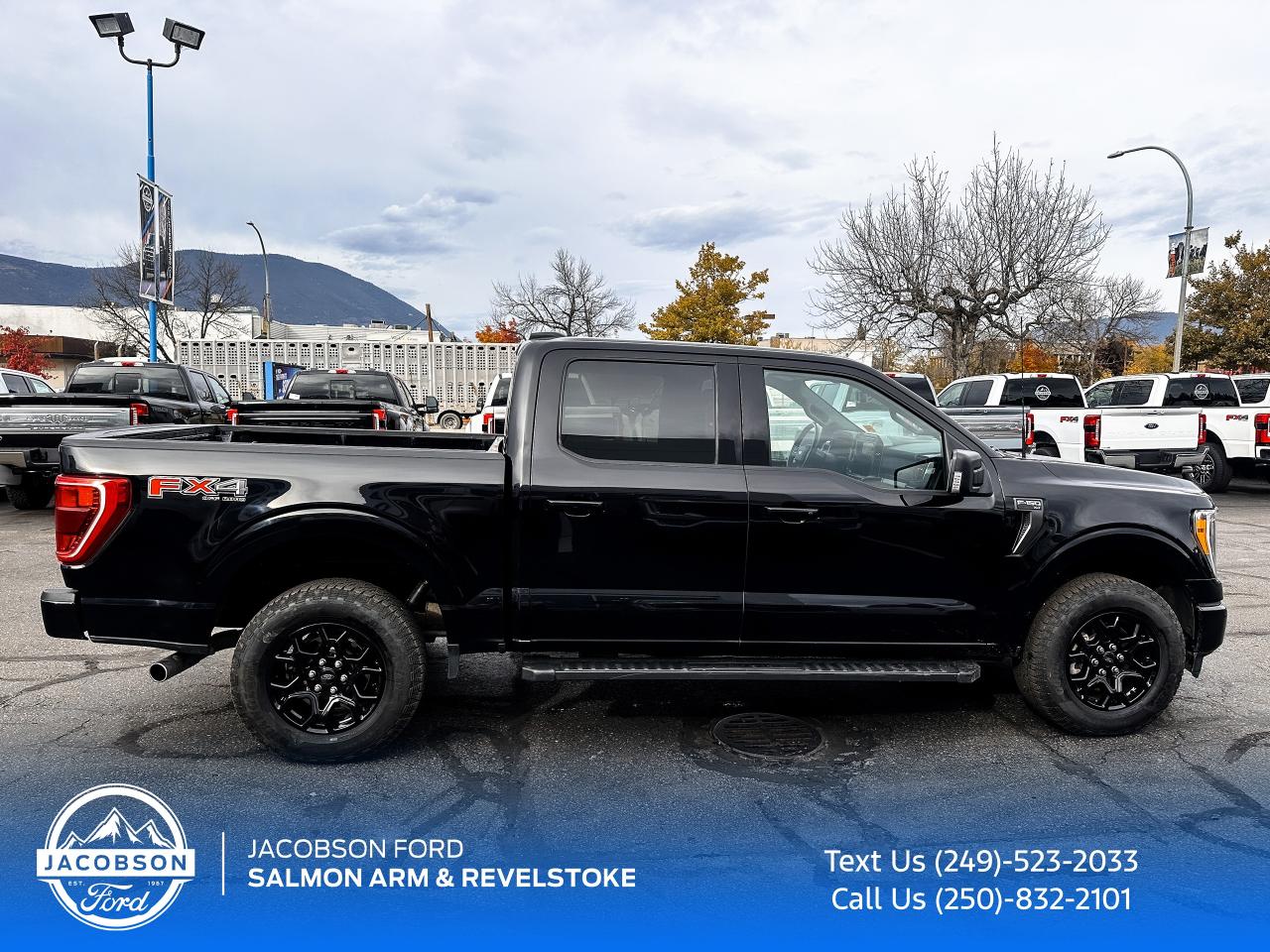 2022 Ford F-150 XLT Photo4