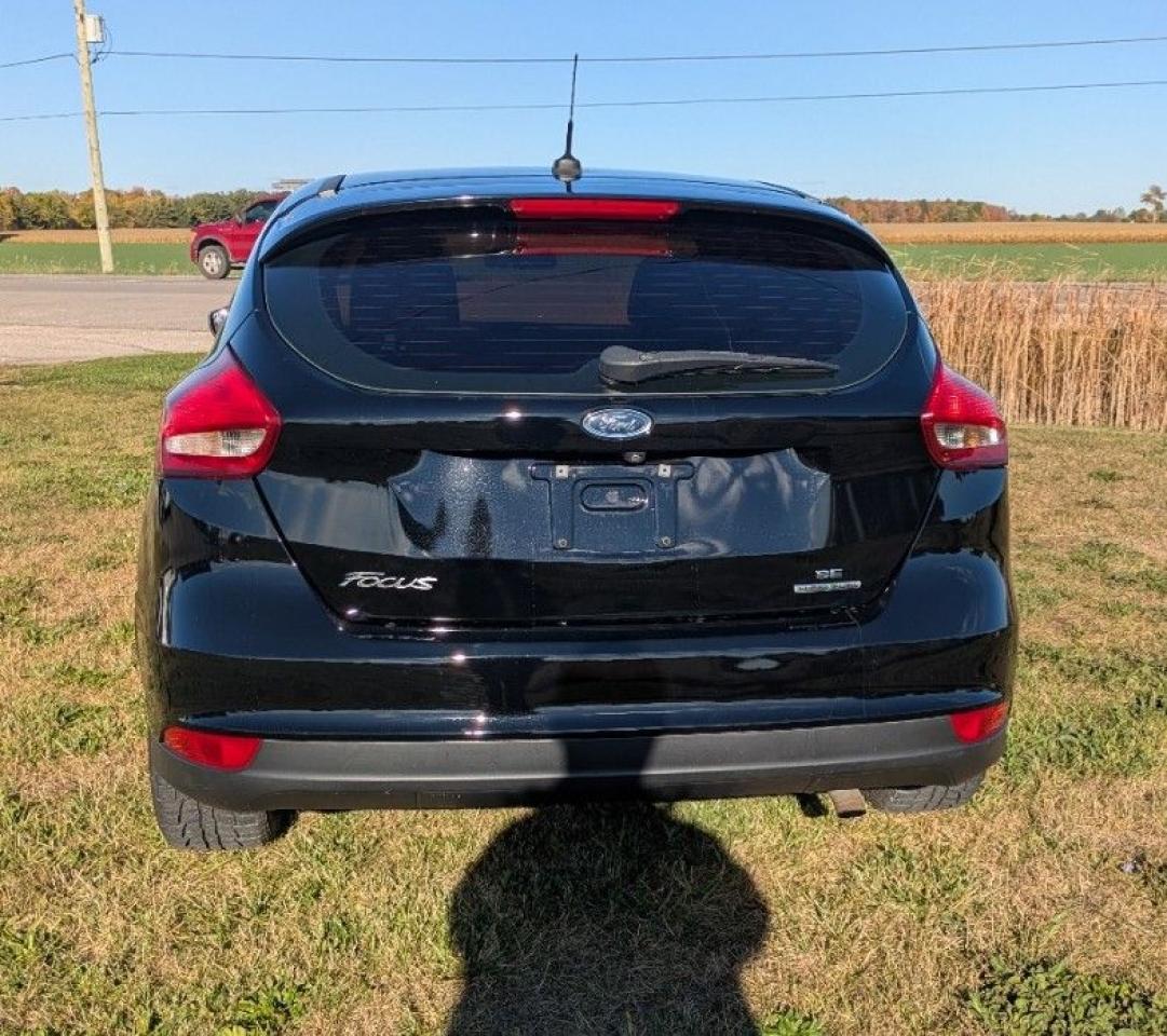 2016 Ford Focus 5DR HB SE Photo3