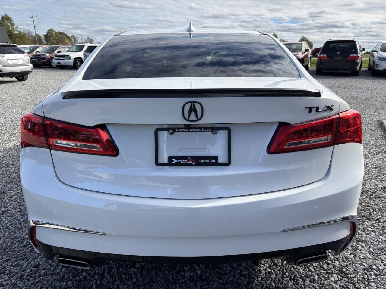 2019 Acura TLX Tech Photo