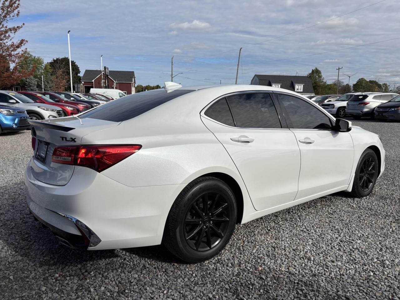 2019 Acura TLX Tech Photo