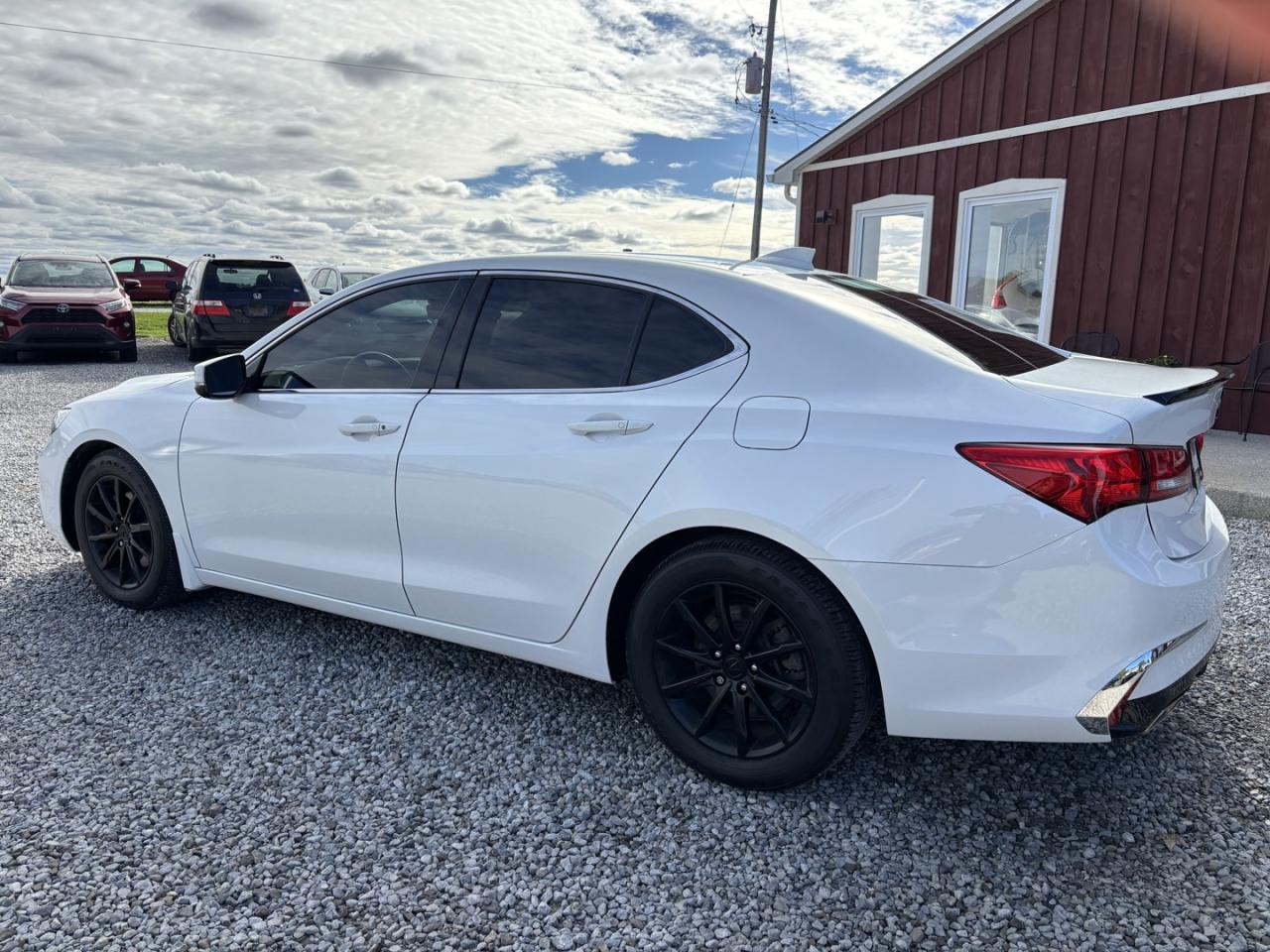 2019 Acura TLX Tech Photo