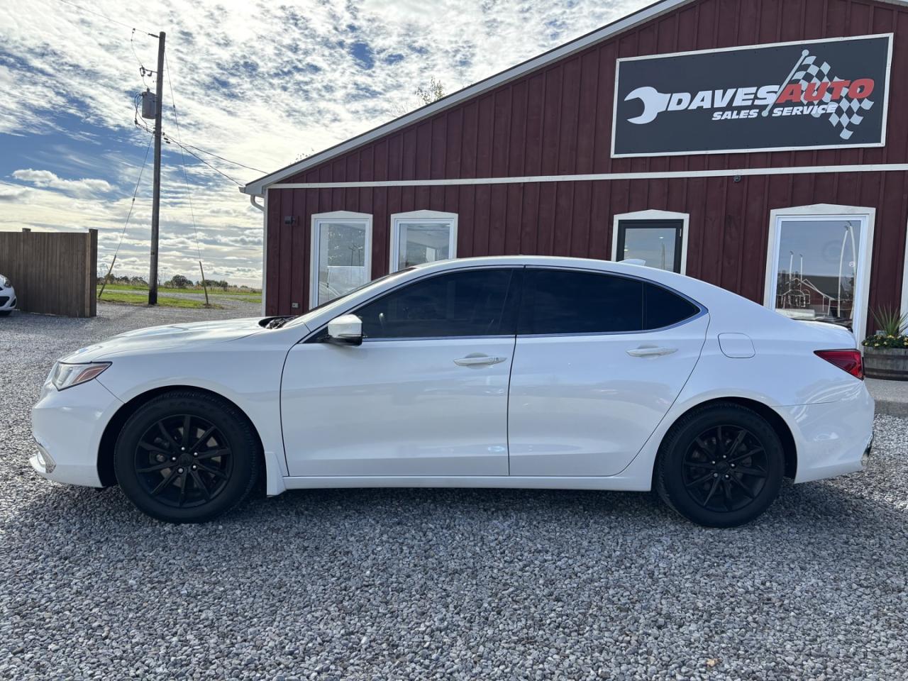 2019 Acura TLX Tech Photo