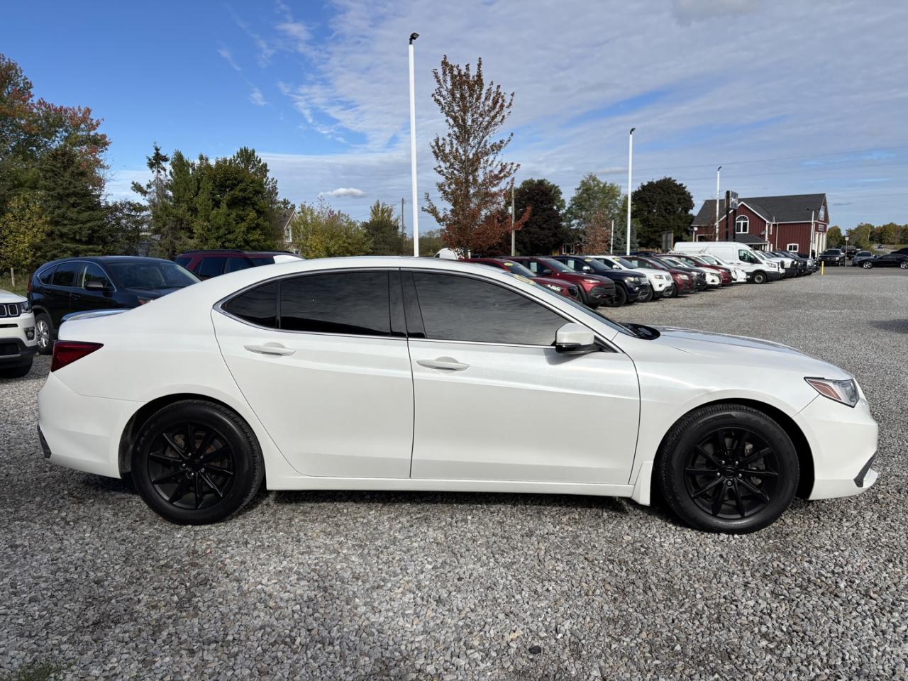 2019 Acura TLX Tech Photo