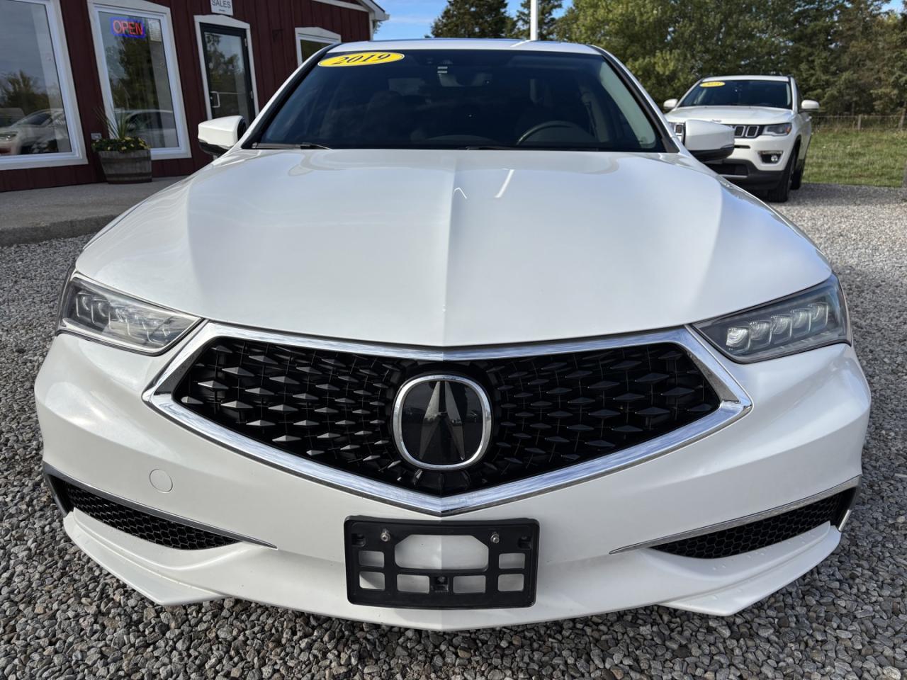 2019 Acura TLX Tech Photo