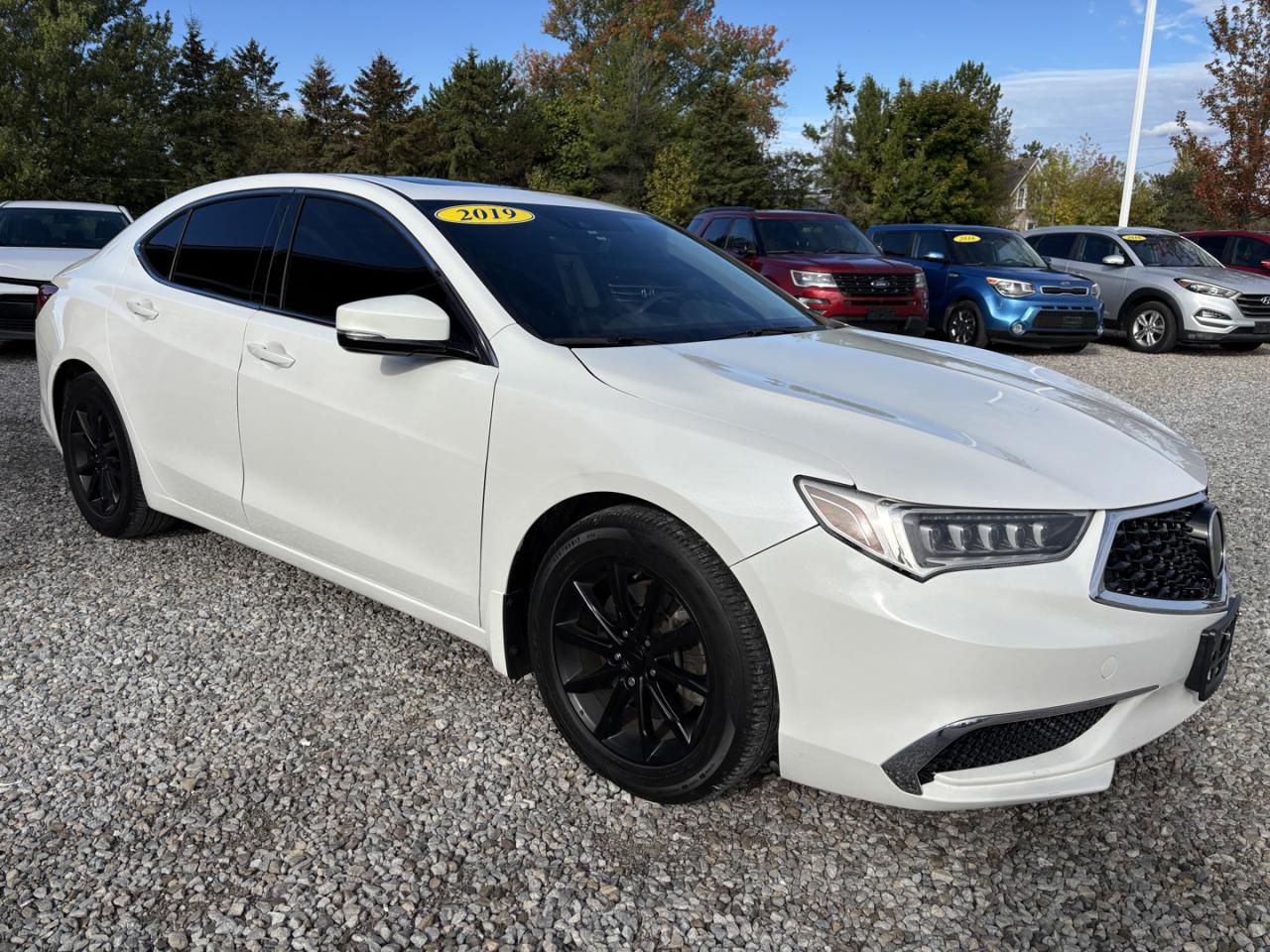 2019 Acura TLX Tech Photo