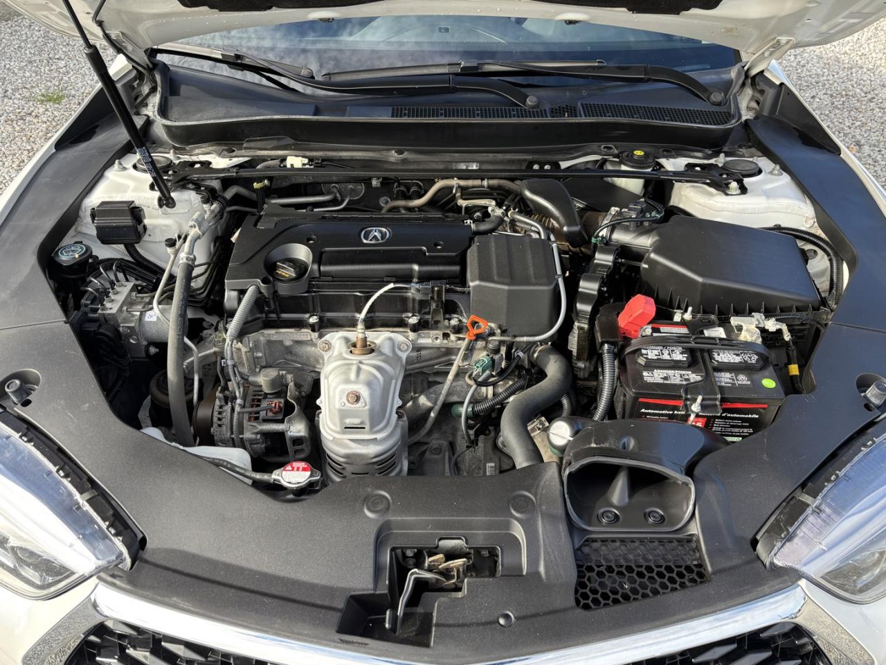 2019 Acura TLX Tech Photo