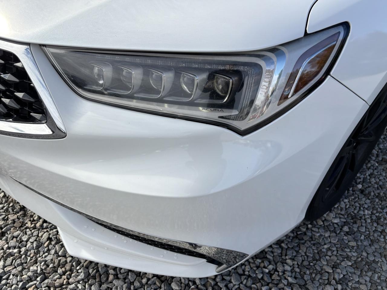 2019 Acura TLX Tech Photo