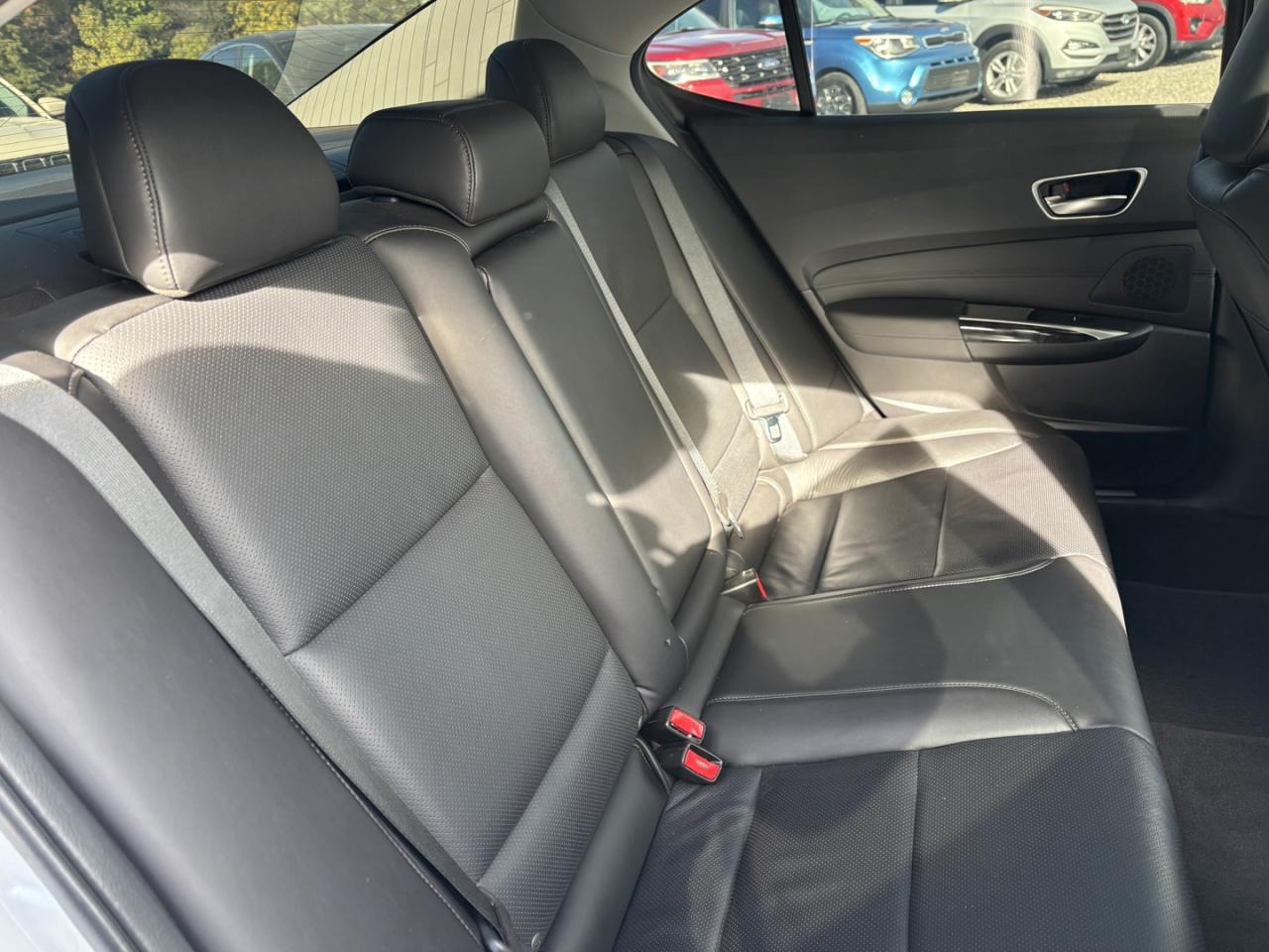 2019 Acura TLX Tech Photo