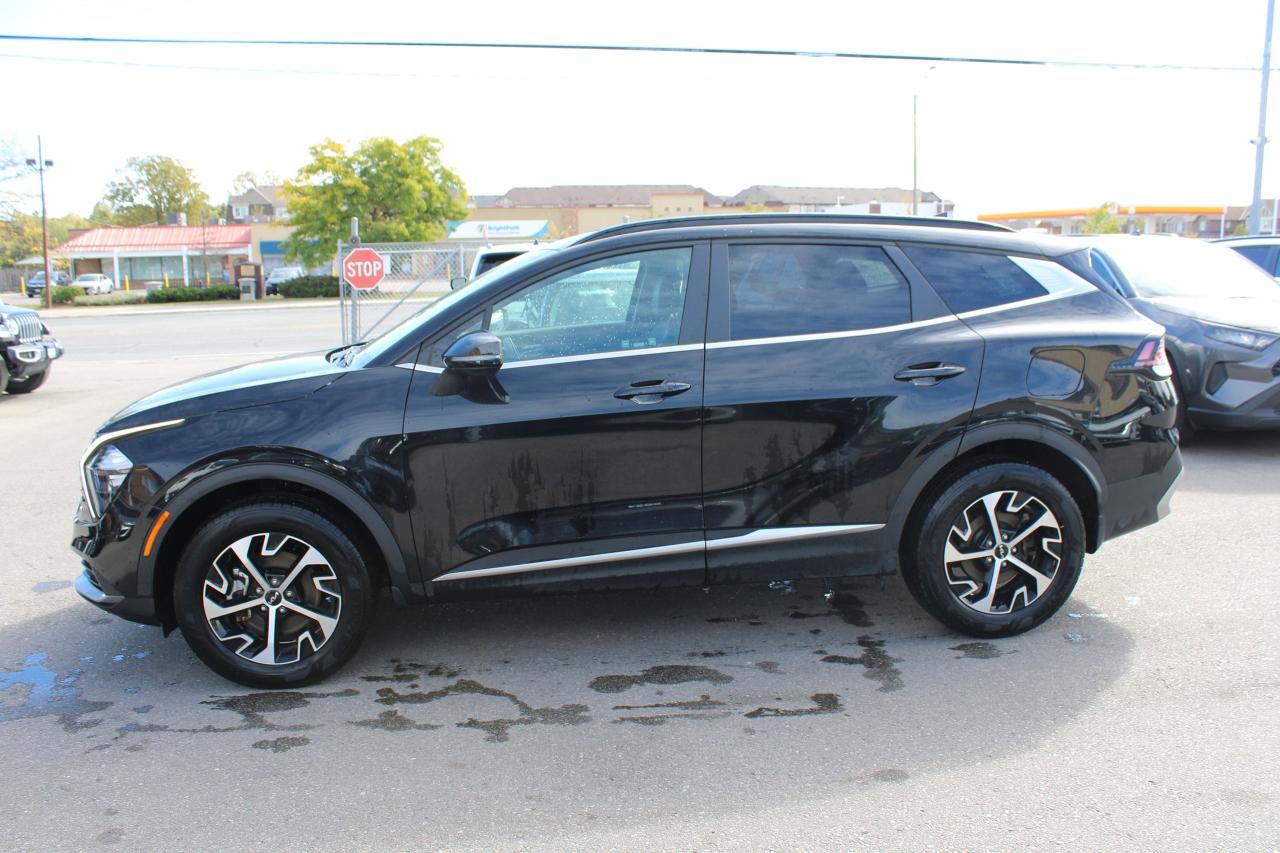 2024 Kia Sportage EX - Photo #4