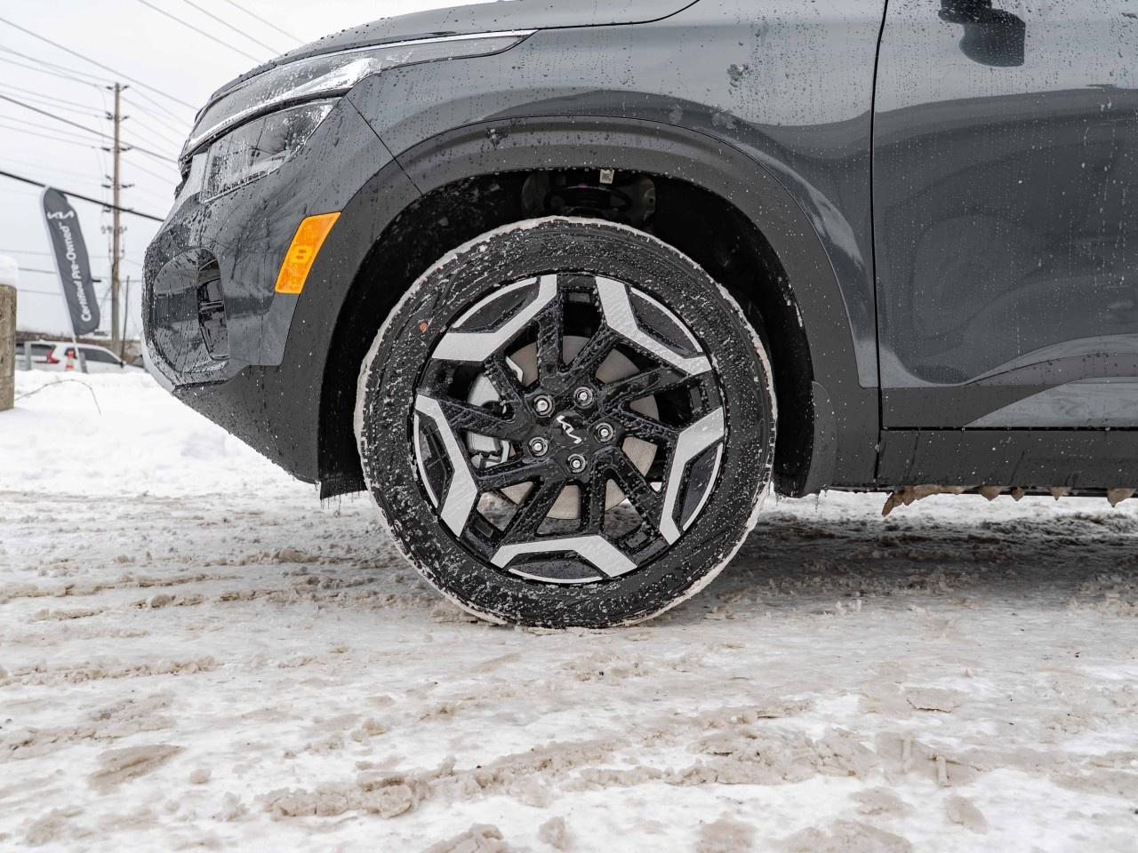 2026 Kia Seltos SX AWD w/Brown Interior Photo