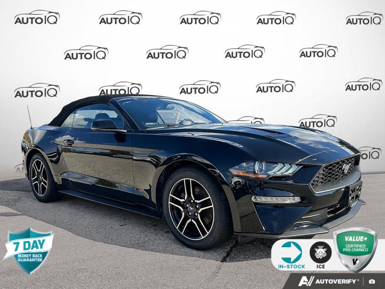 Used 2020 Ford Mustang EcoBoost Premium for sale in Oakville, ON