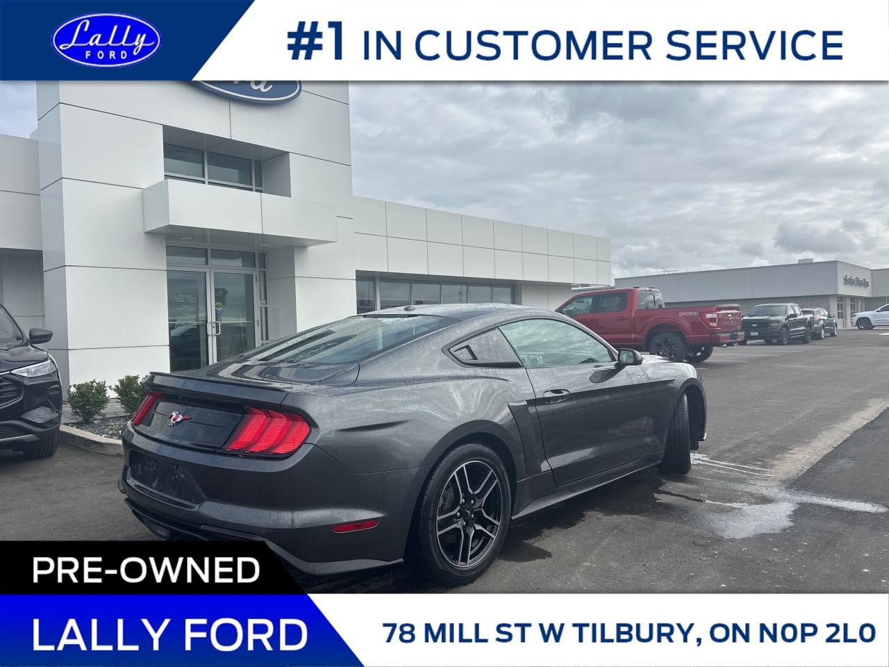 2020 Ford Mustang EcoBoost Photo4