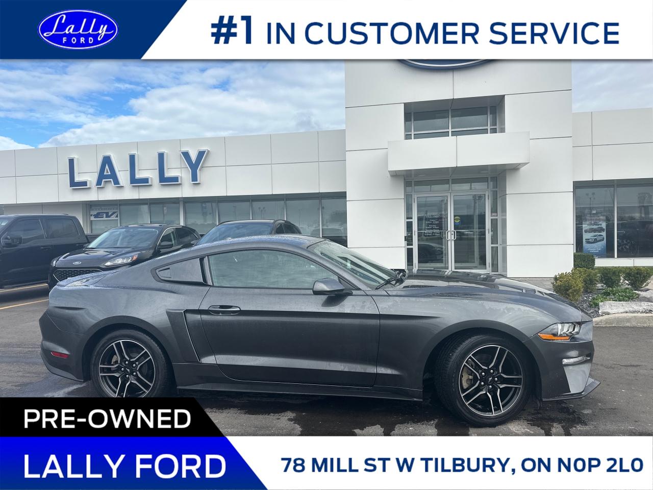 2020 Ford Mustang EcoBoost Photo2