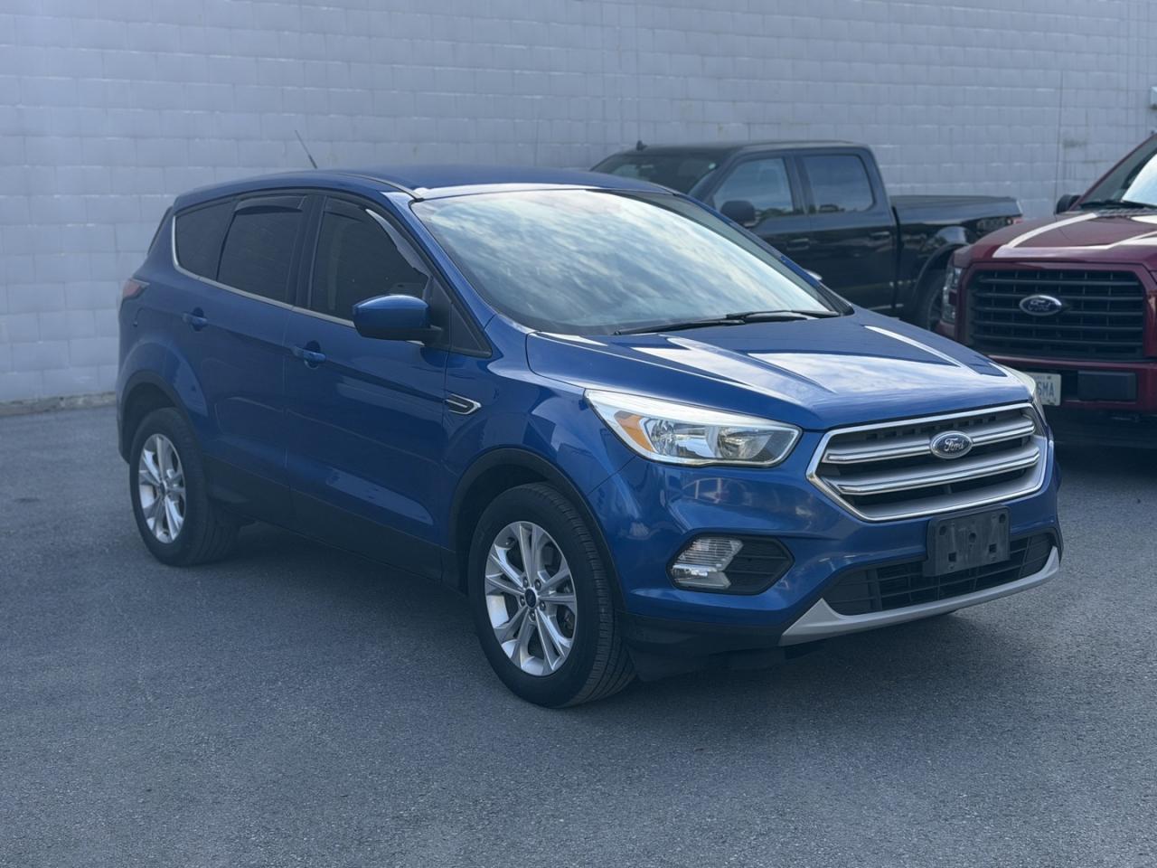 2017 Ford Escape SE FWD Photo