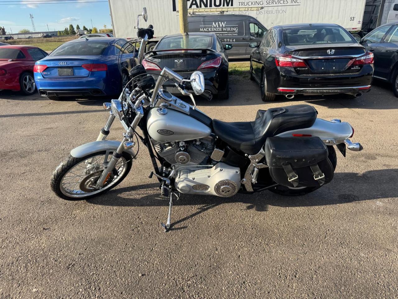 2004 Harley-Davidson Softail  - Photo #2