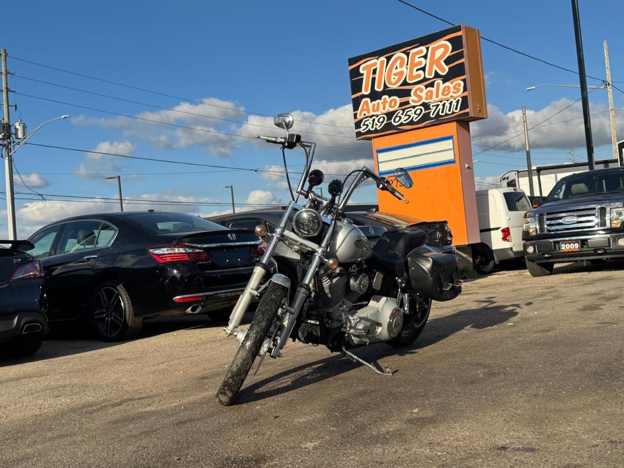 2004 Harley-Davidson Softail 