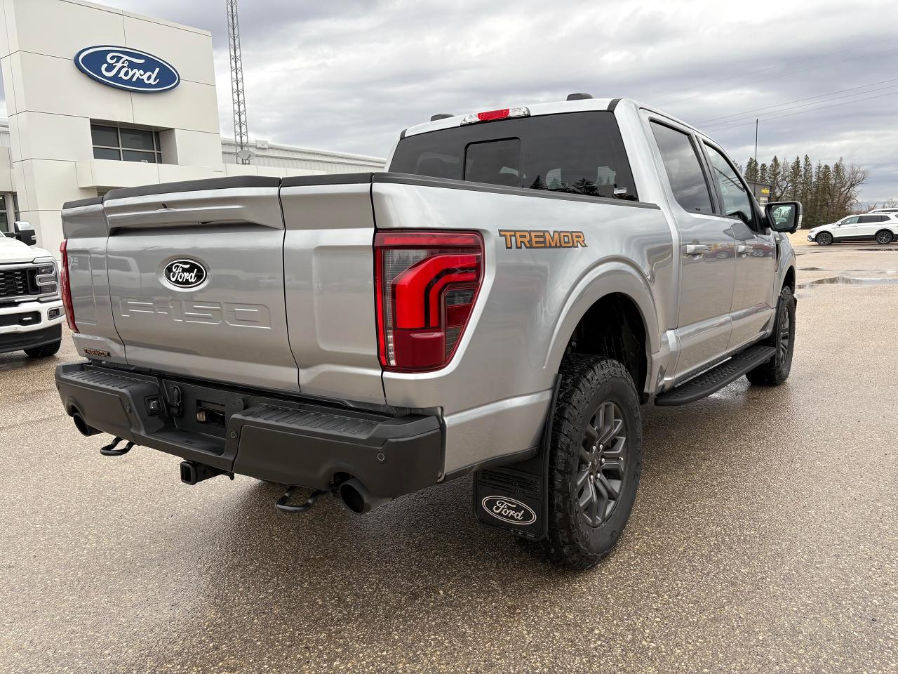 2025 Ford F-150 Tremor 4WD SuperCrew 5.5' Box Photo5