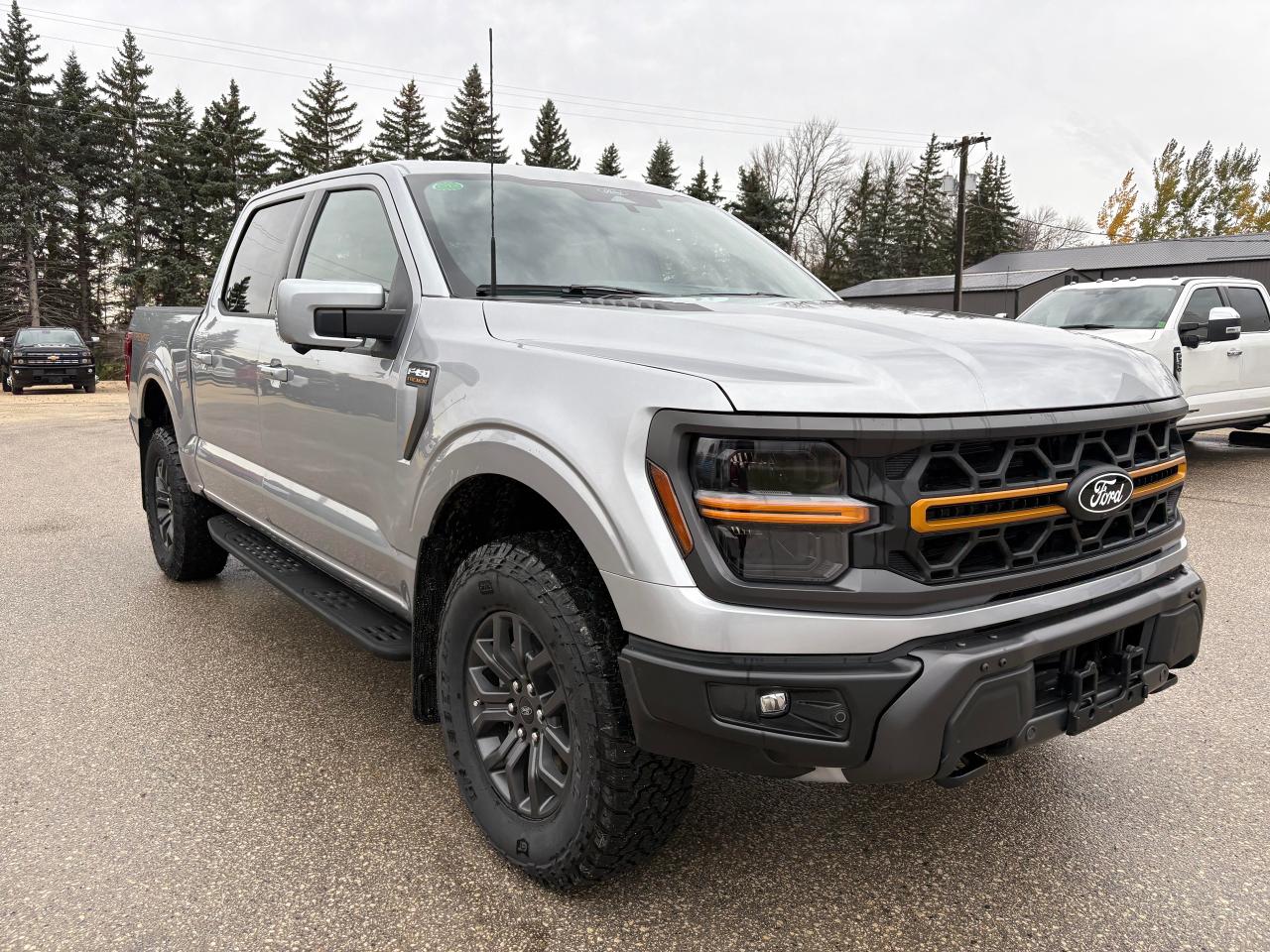 2025 Ford F-150 Tremor 4WD SuperCrew 5.5' Box Photo3