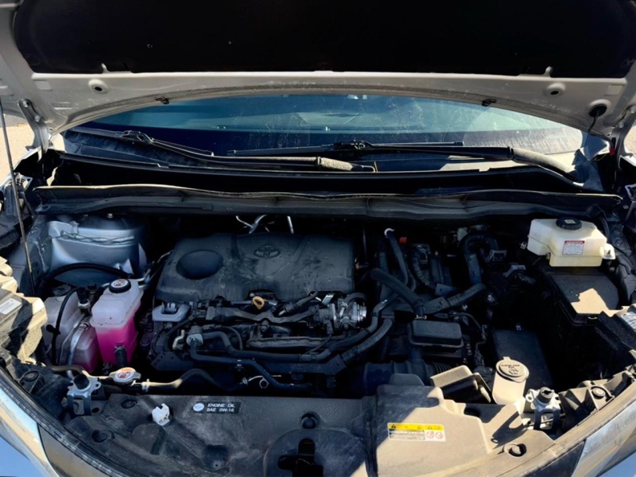 2024 Toyota Sienna LE Photo