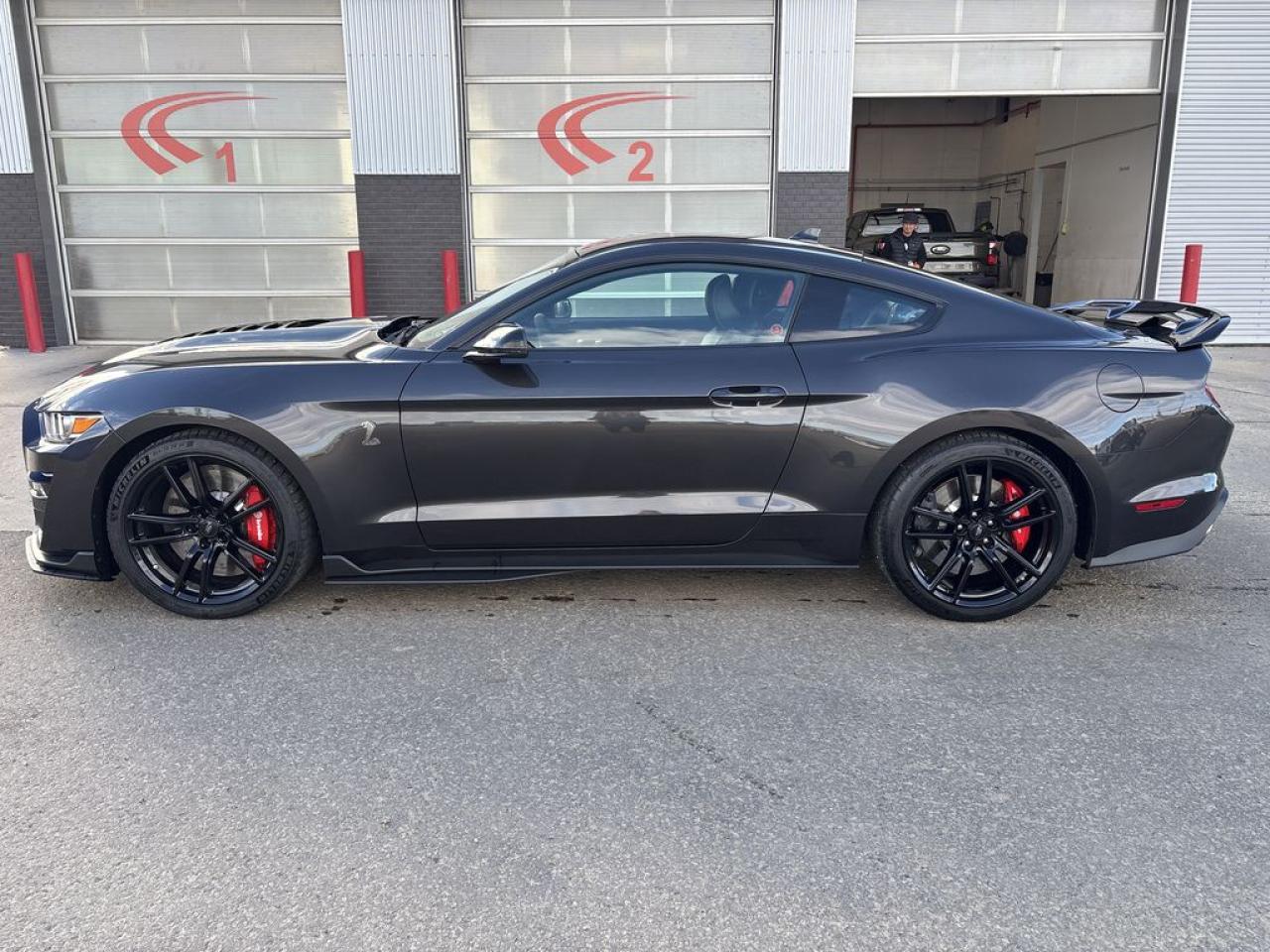 2022 Ford Mustang Shelby GT500 Photo