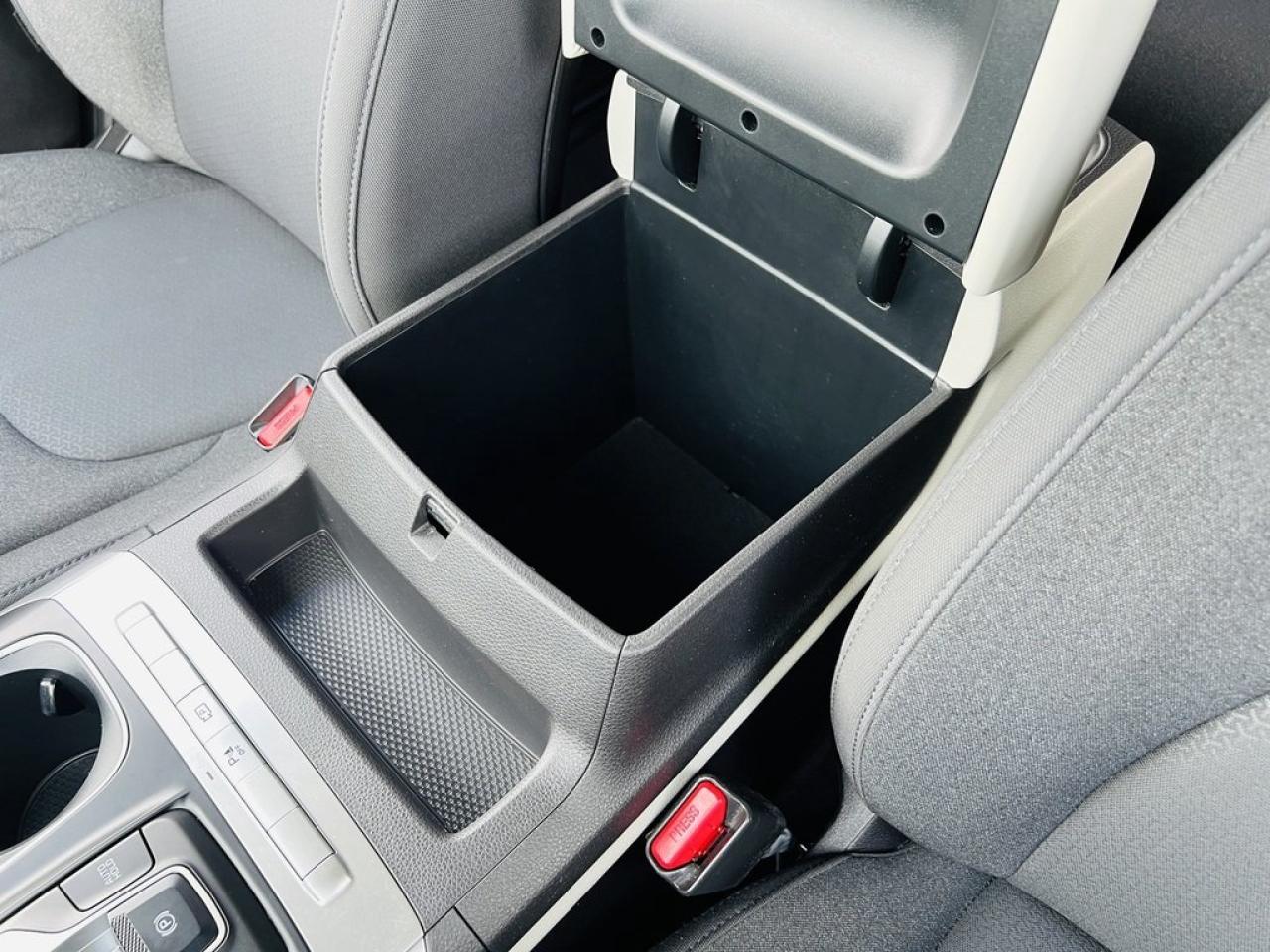 2022 Kia Carnival LX Photo