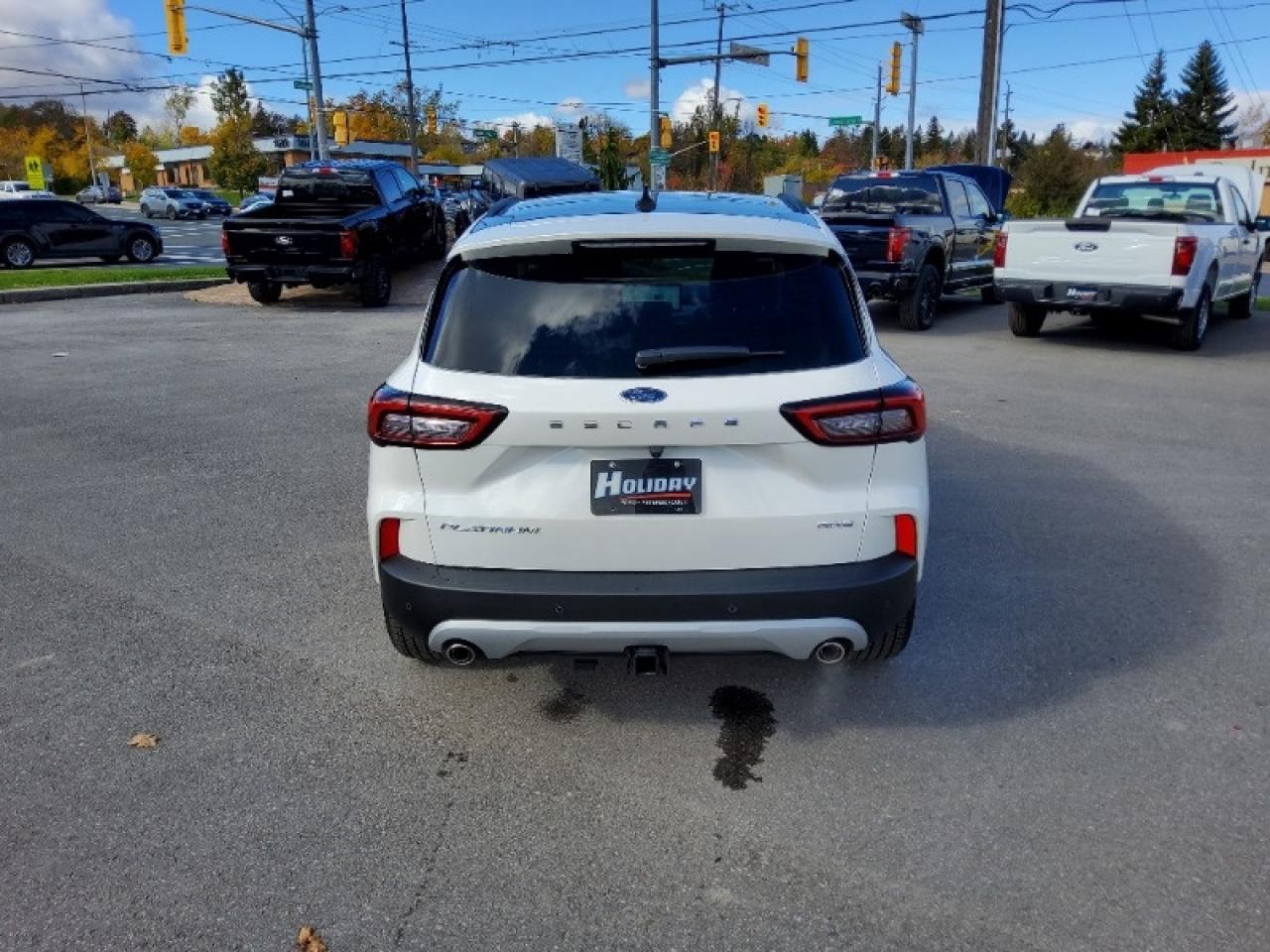 2025 Ford Escape Platinum Photo2