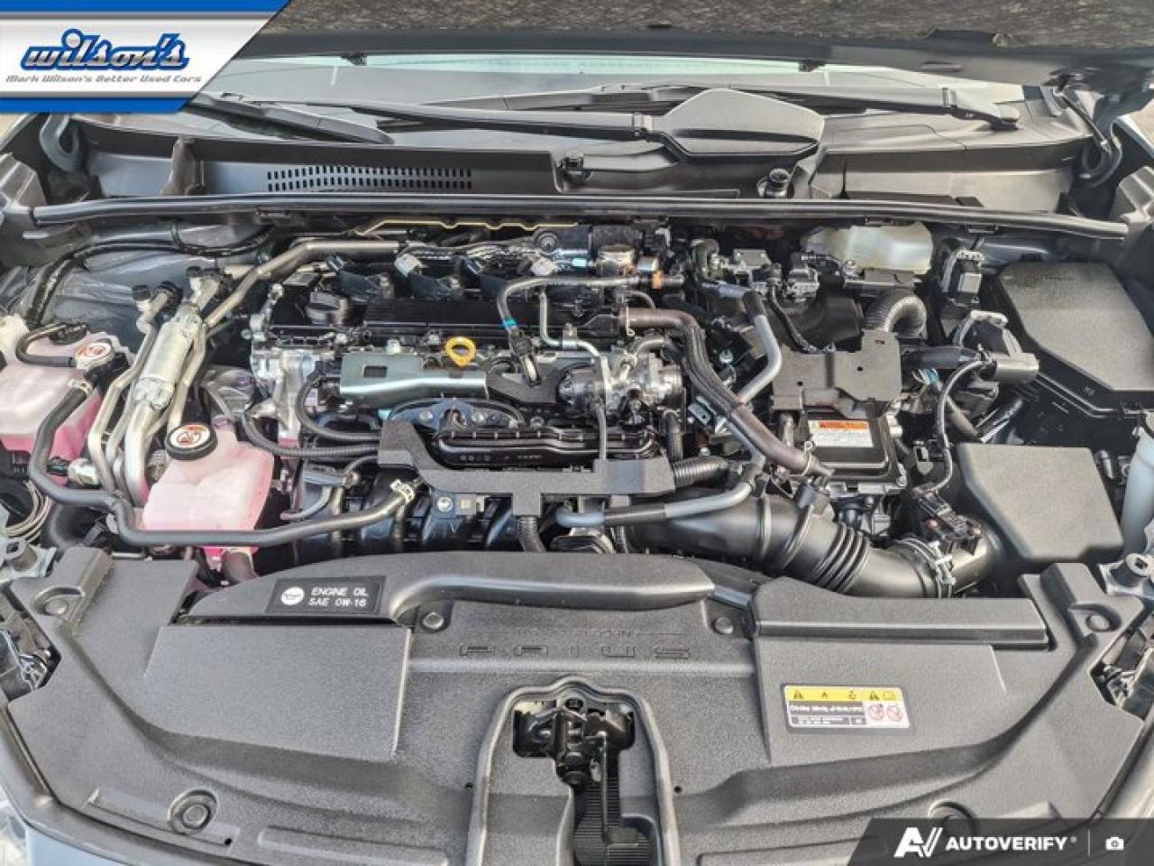 2025 Toyota Prius Plug-In Hybrid XSE PHEV | Leather | Fixed Glass Roof | Carplay & Android Auto & More ! Photo