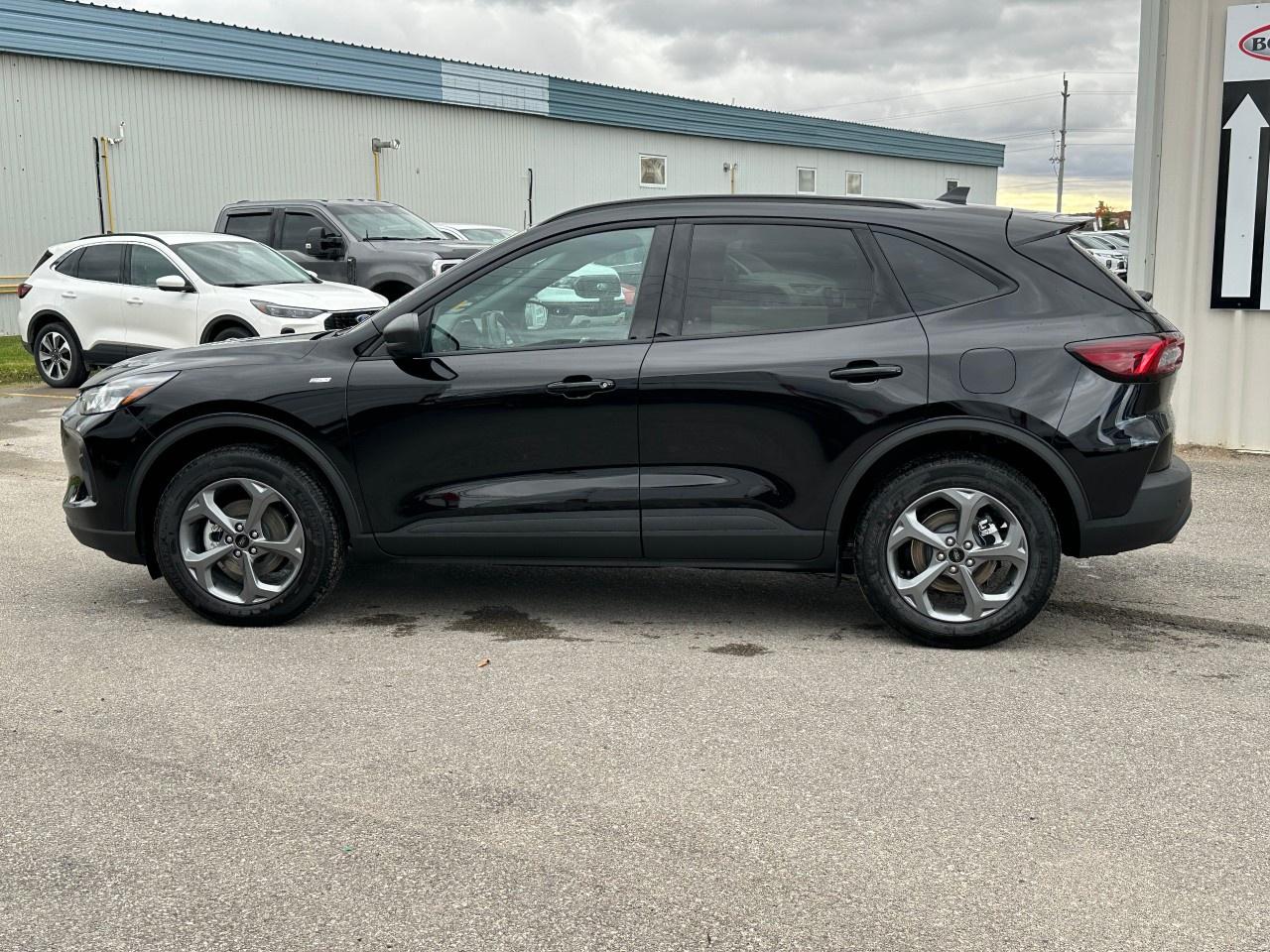 2025 Ford Escape ST-Line AWD Photo