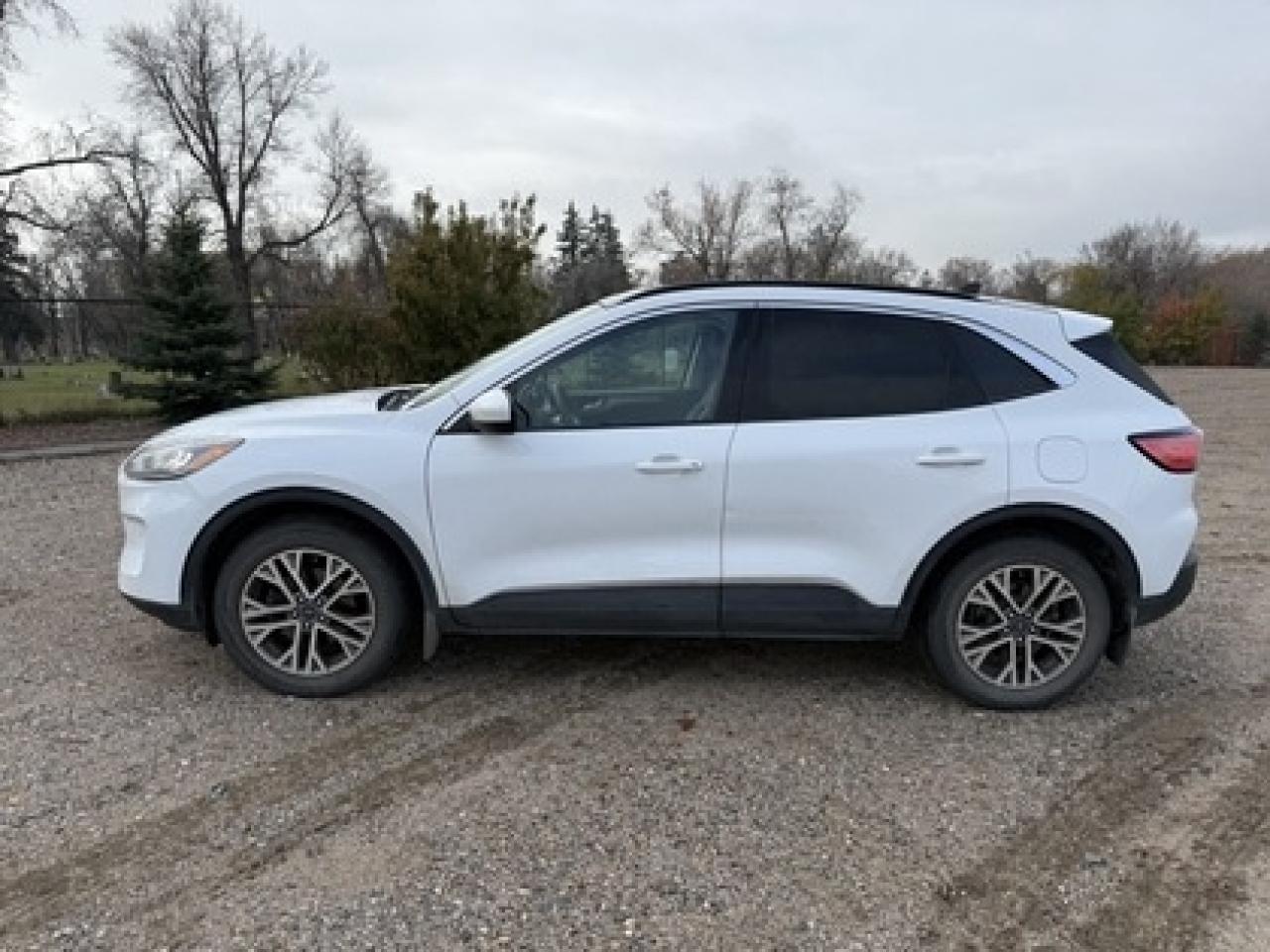 Used 2021 Ford Escape SEL AWD for sale in Regina, SK
