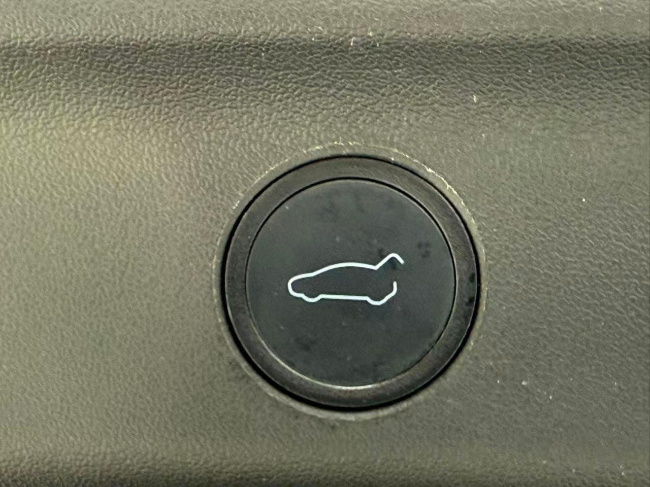 13077730