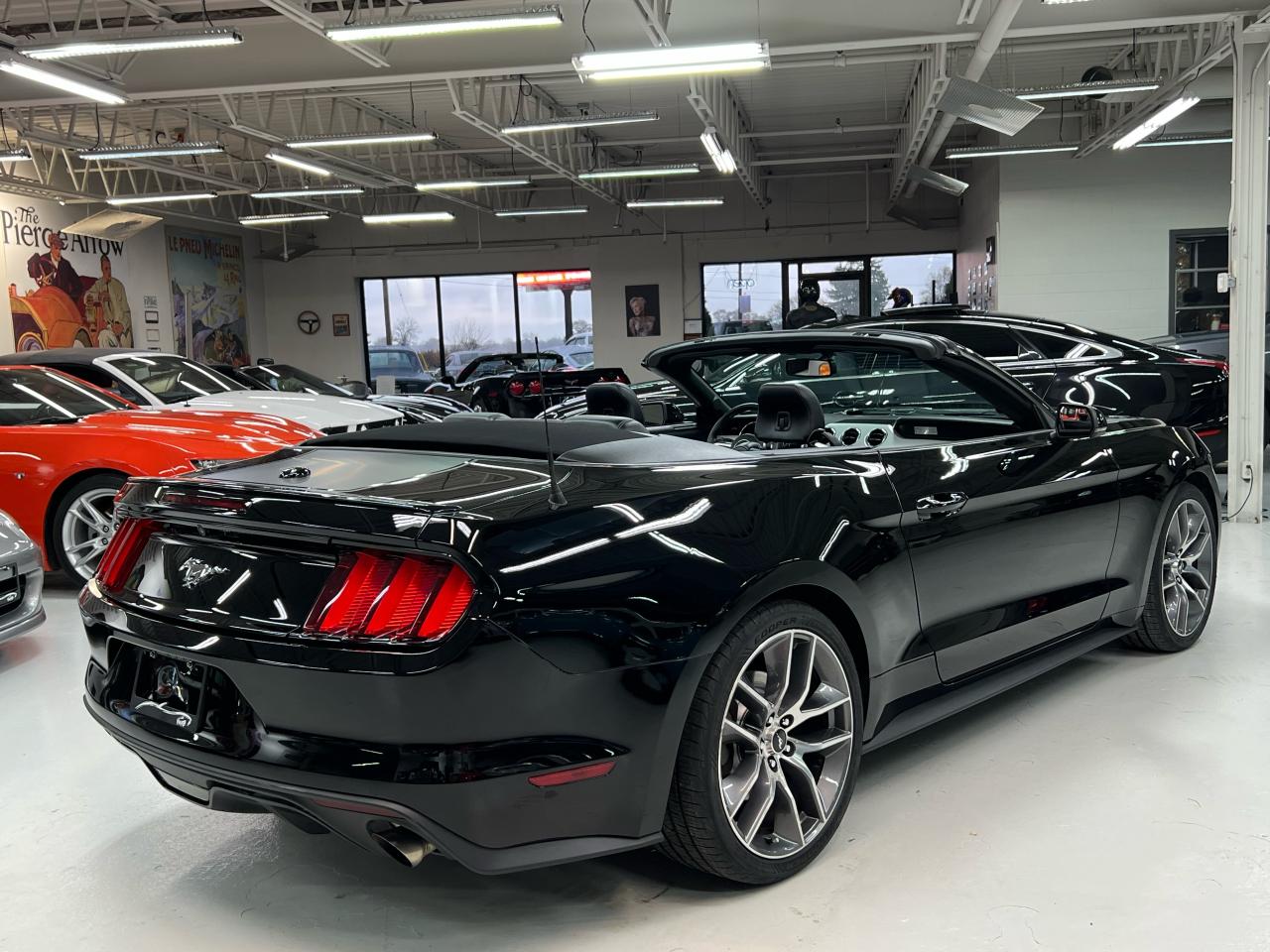 2016 Ford Mustang 2DR CONV ECOBOOST PREMIUM Photo