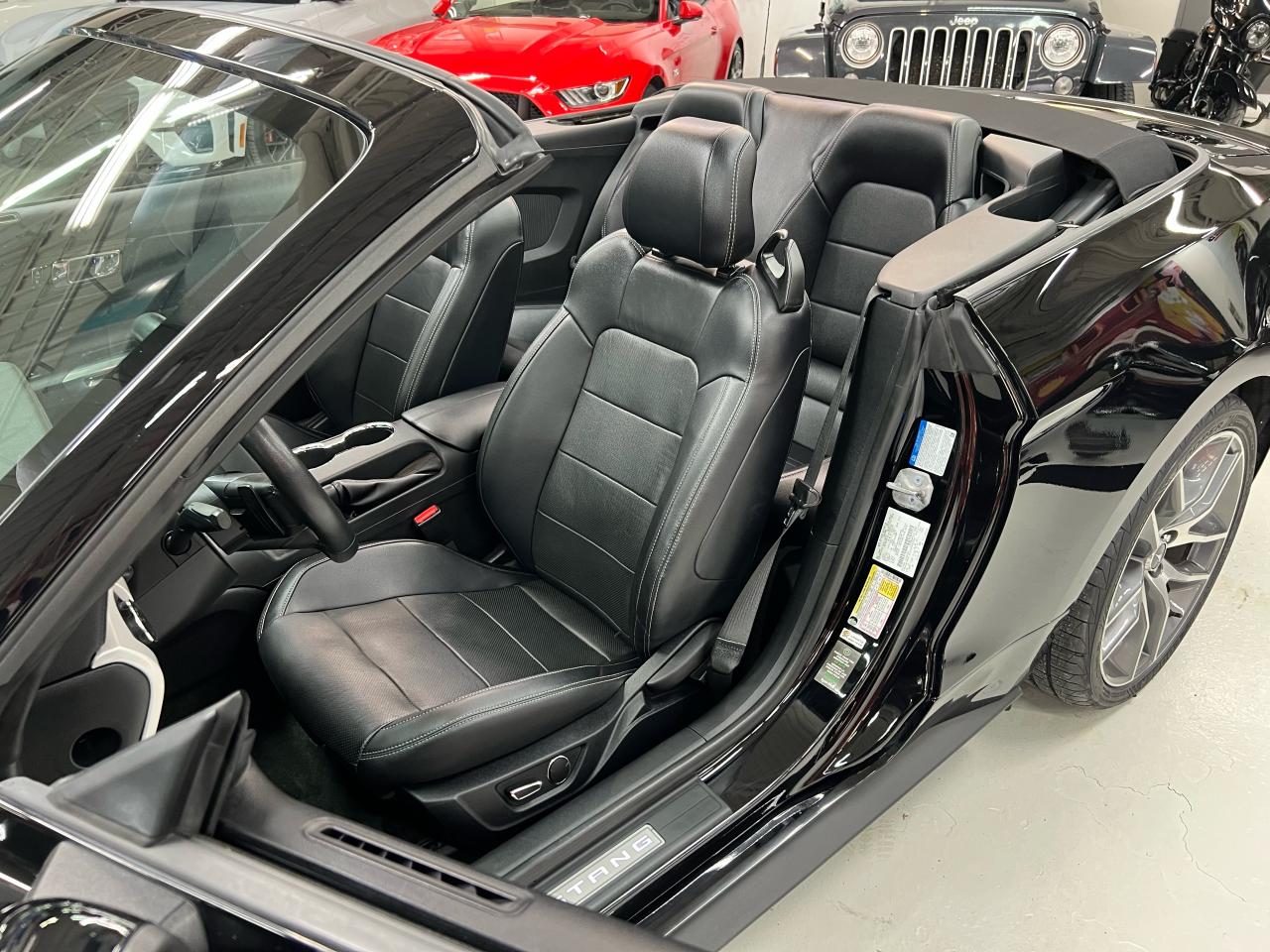 2016 Ford Mustang 2DR CONV ECOBOOST PREMIUM Photo