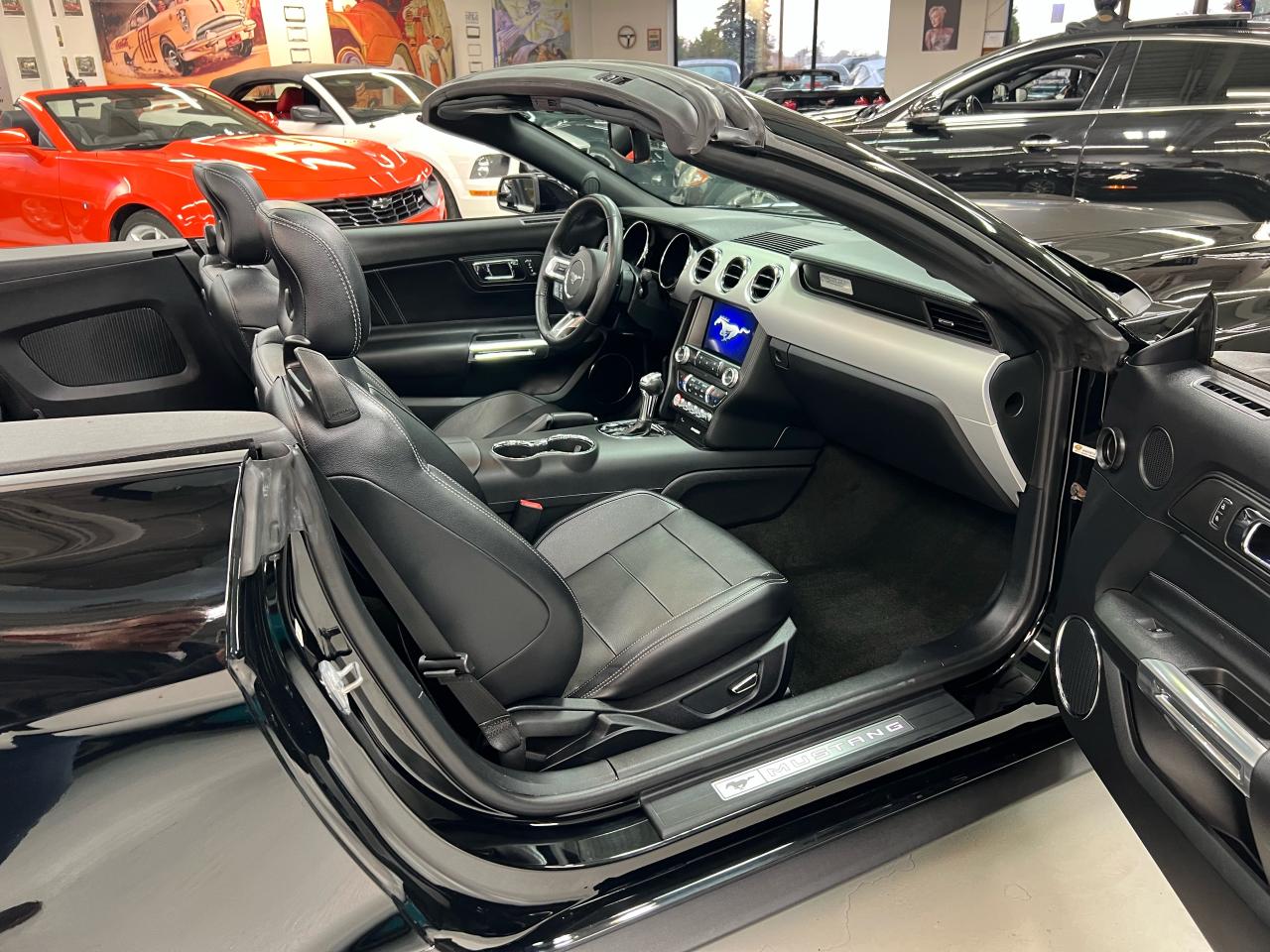 2016 Ford Mustang 2DR CONV ECOBOOST PREMIUM Photo