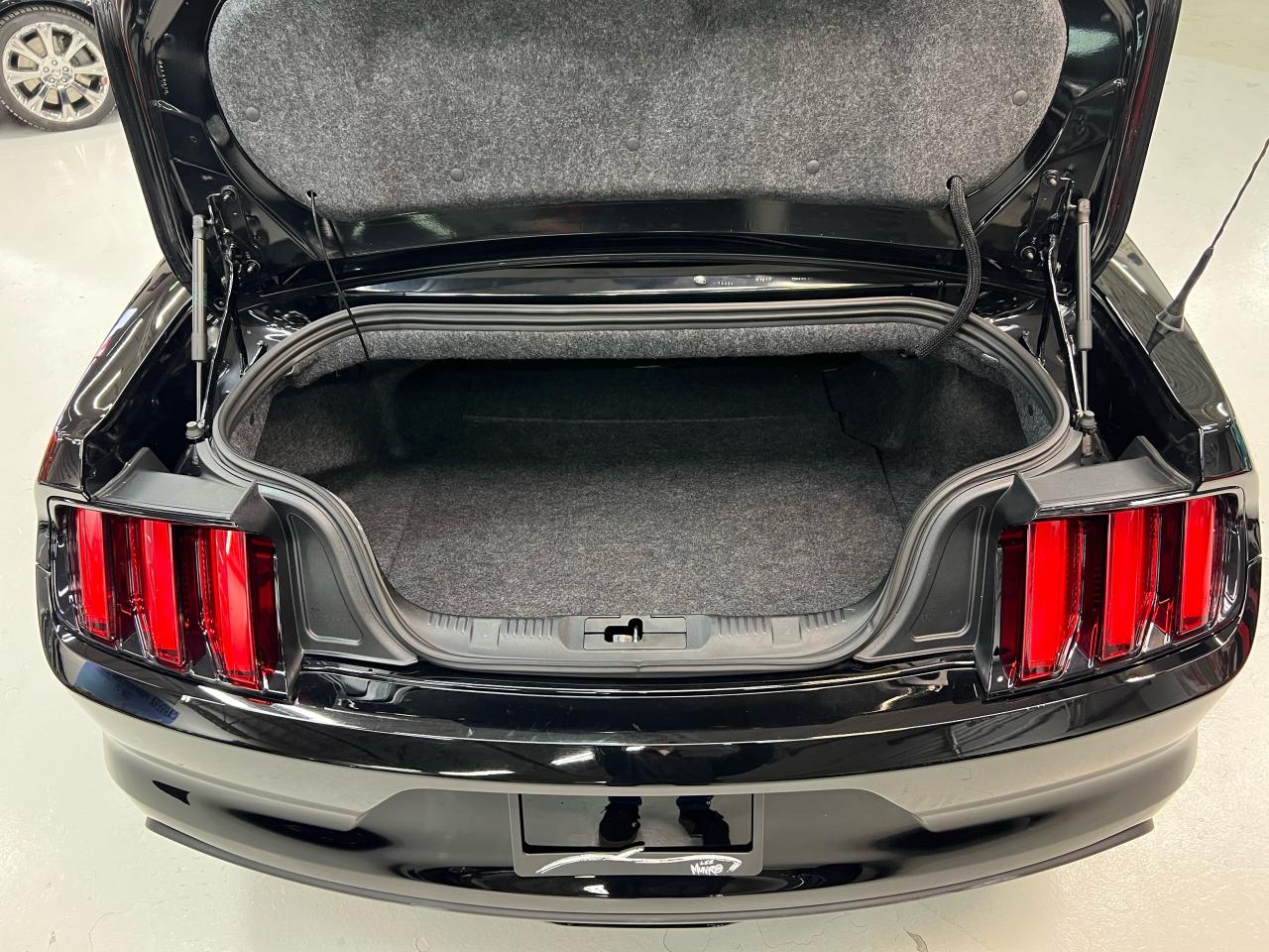 2016 Ford Mustang 2DR CONV ECOBOOST PREMIUM Photo