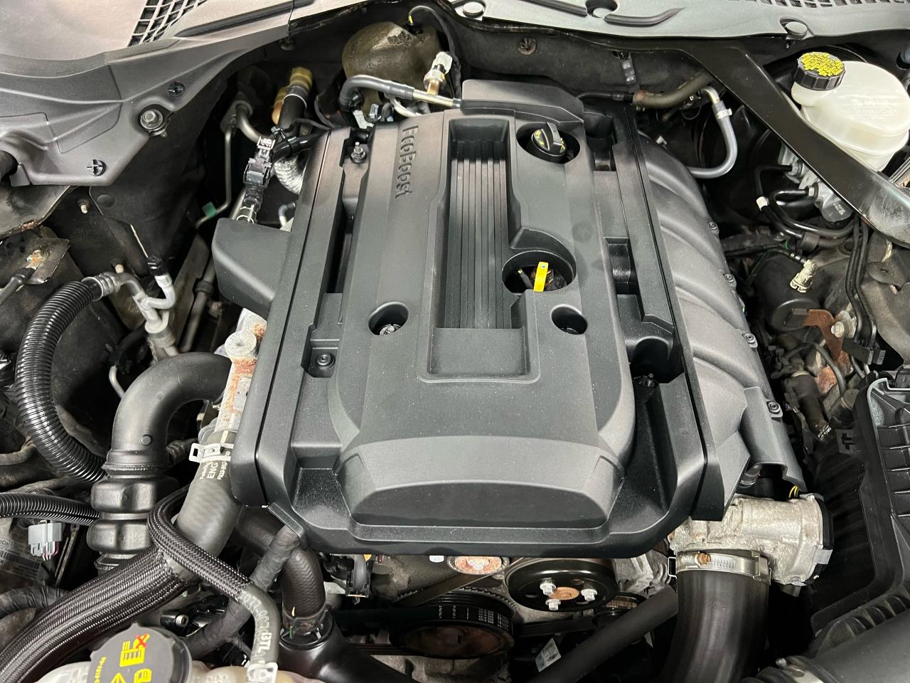 2016 Ford Mustang 2DR CONV ECOBOOST PREMIUM Photo