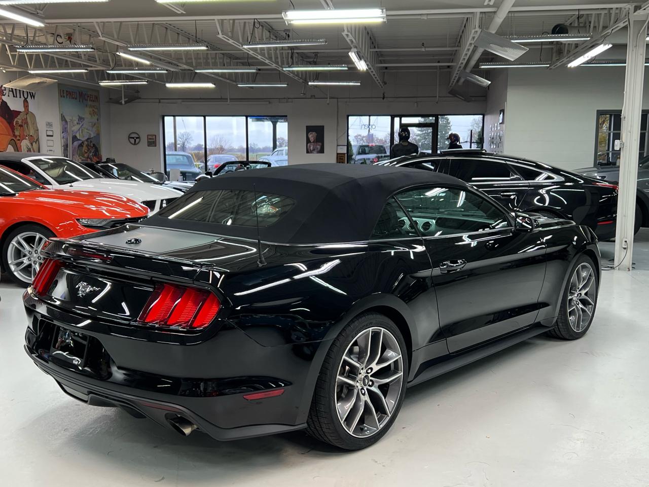 2016 Ford Mustang 2DR CONV ECOBOOST PREMIUM Photo