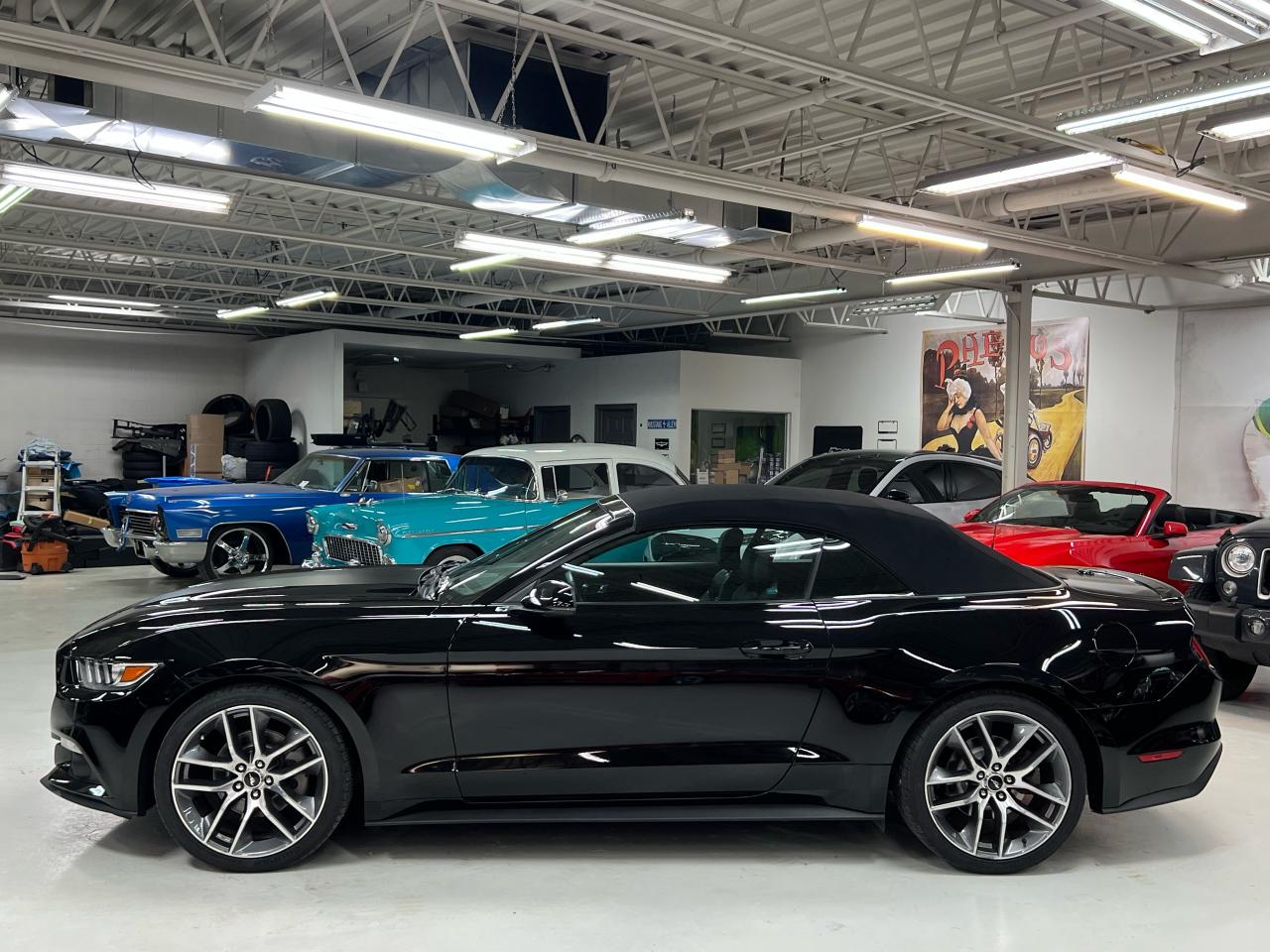 2016 Ford Mustang 2DR CONV ECOBOOST PREMIUM Photo