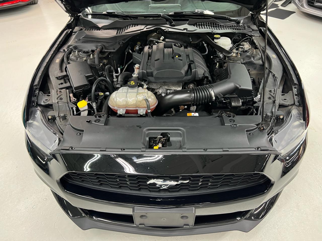 2016 Ford Mustang 2DR CONV ECOBOOST PREMIUM Photo