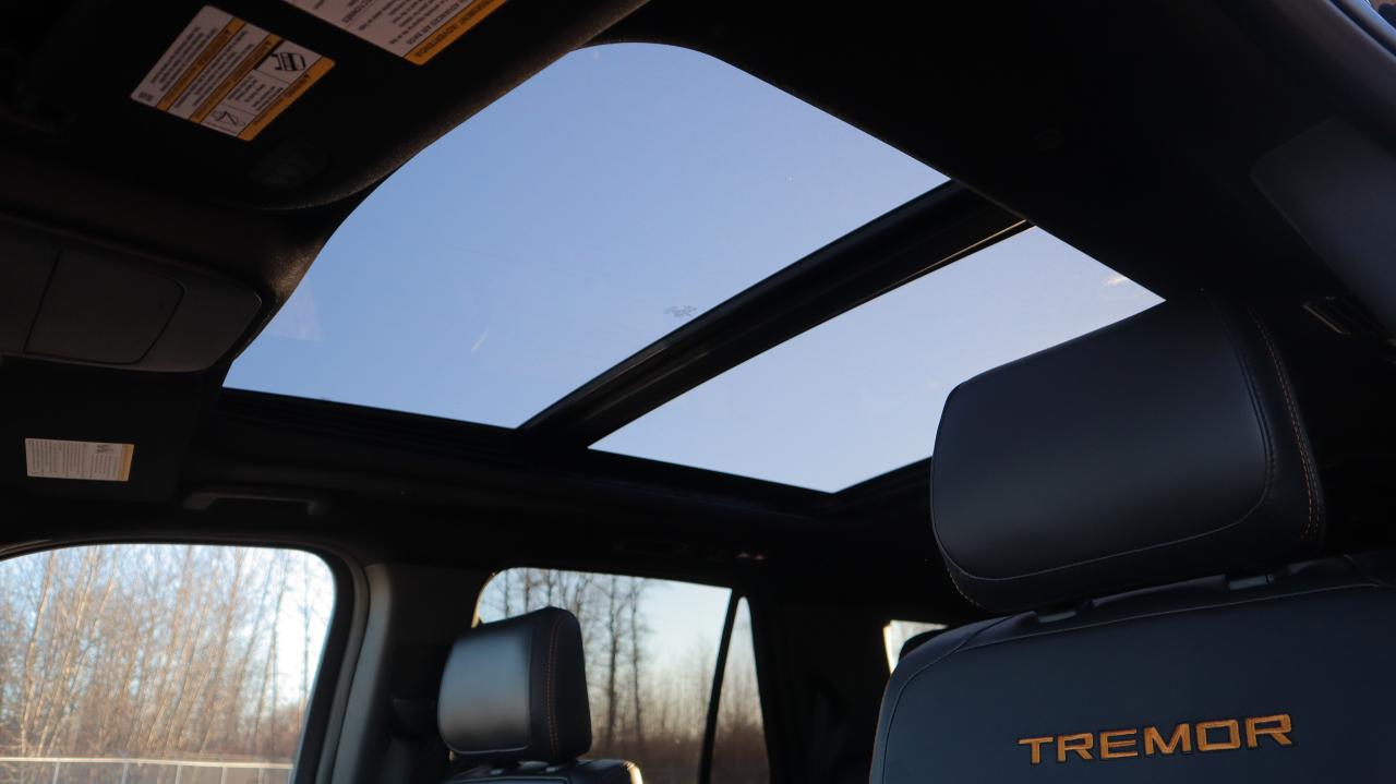 2025 Ford Expedition Tremor Photo5