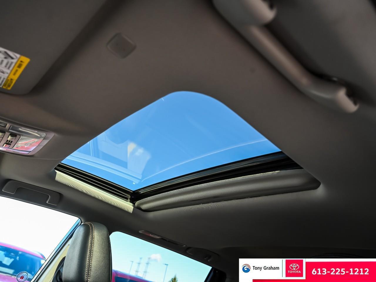 2019 Toyota Highlander XLE Photo