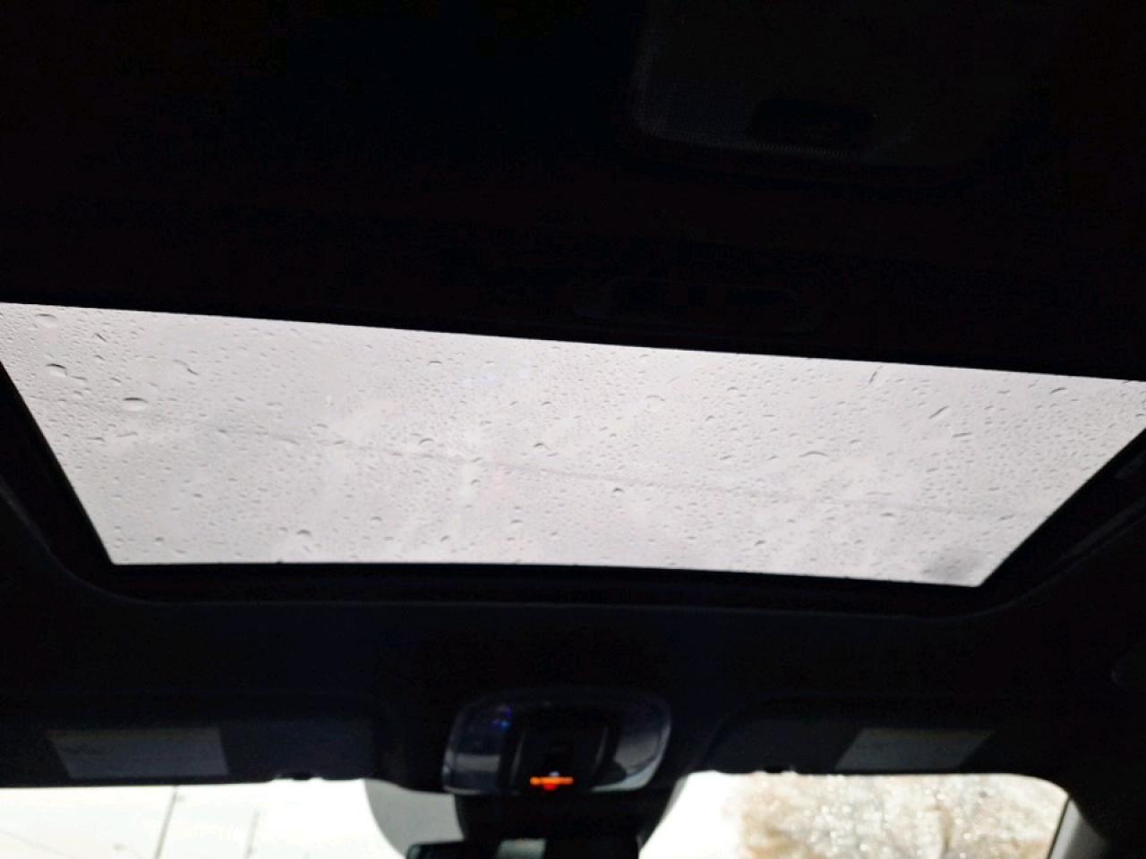 2023 Hyundai Elantra N Photo